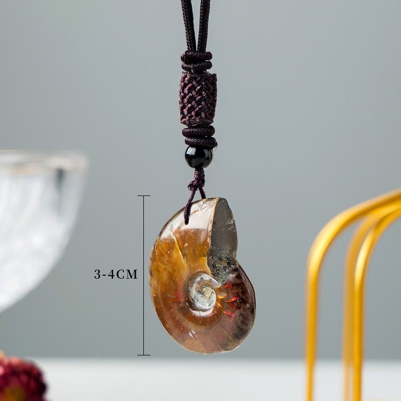 Fortune Jewel Natural Ammonite Fossil Snail Pattern Meditation Healing Necklace Pendant