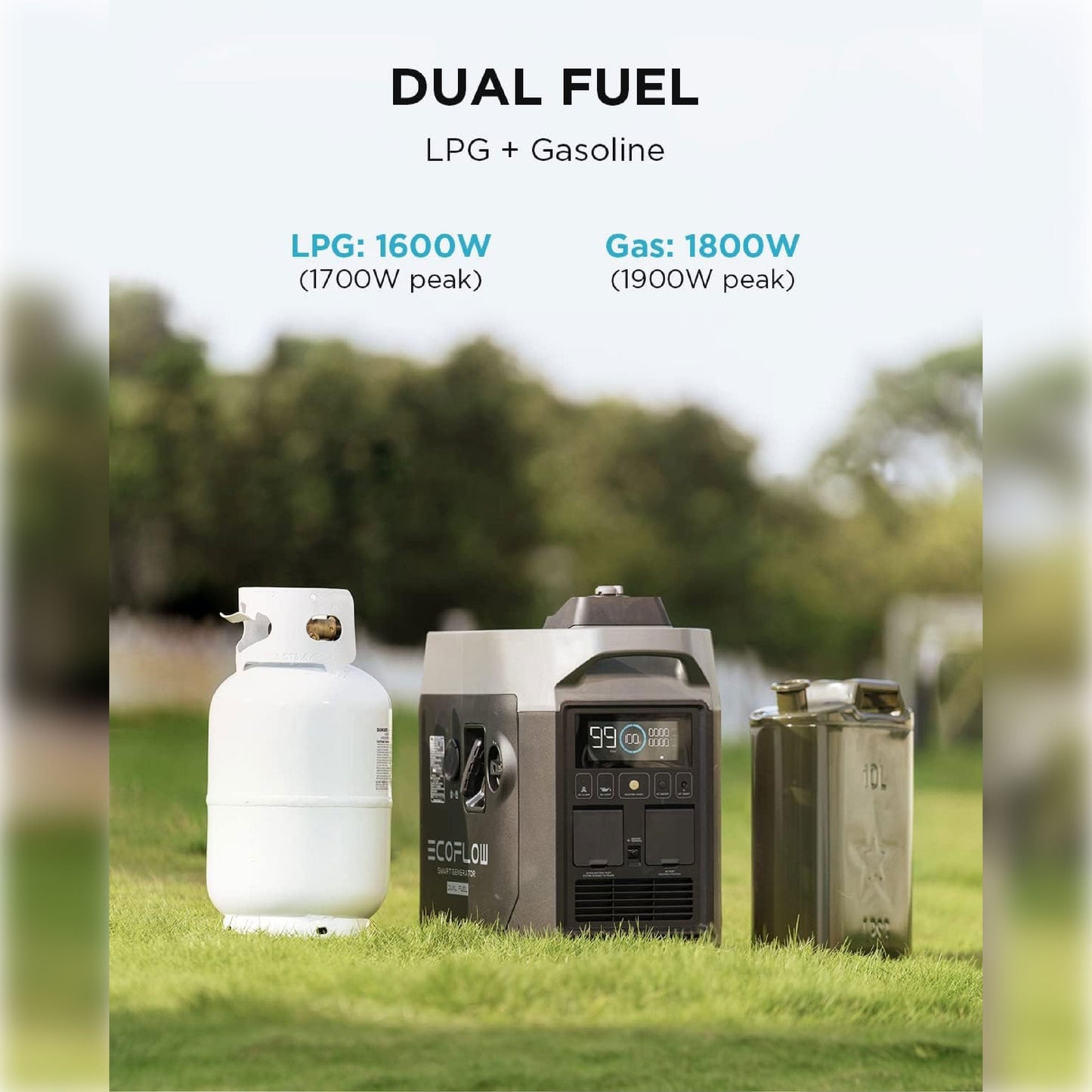 EcoFlow Dual Fuel Smart Generator Portable Lightweight Multifunctional Large Capacity 220V Either LPG Or Gasoline Emergency Generator Backup Eco Flow