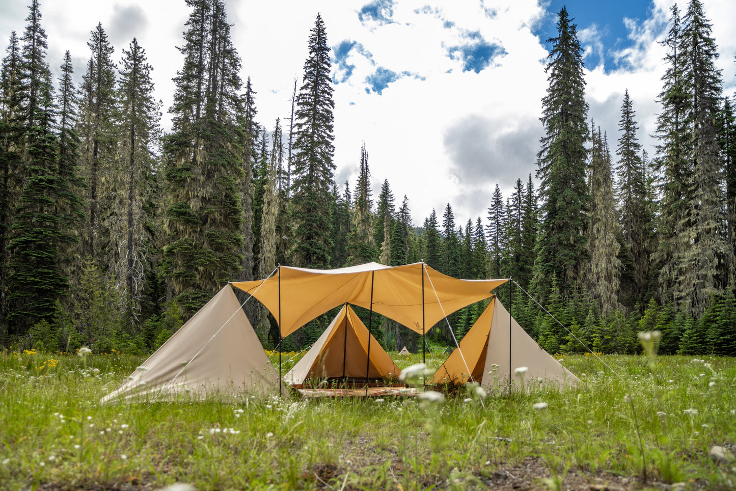 Okra Tarp