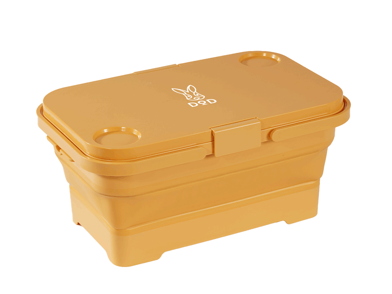 Pesha Collapsible Container