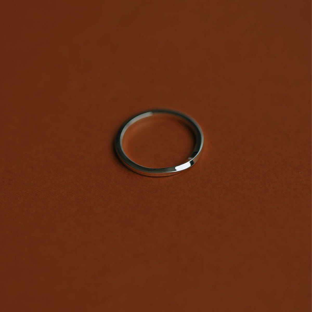 SMALL TORSION RING