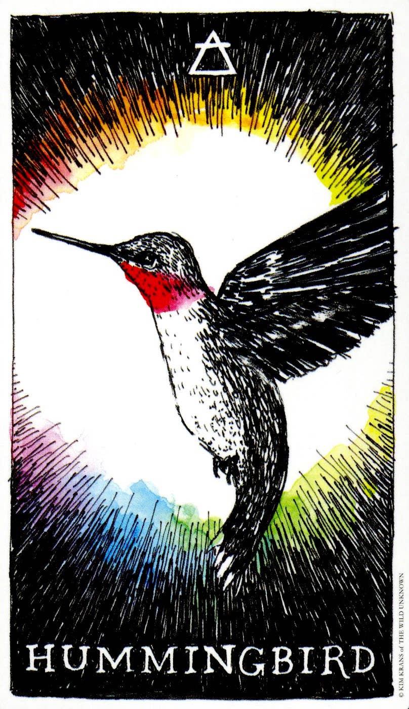 WILD UNKNOWN ANIMAL SPIRIT DECK | FULL SIZE