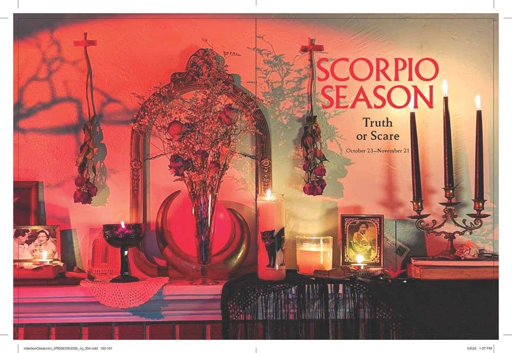INTENTION OBSESSION BOOK