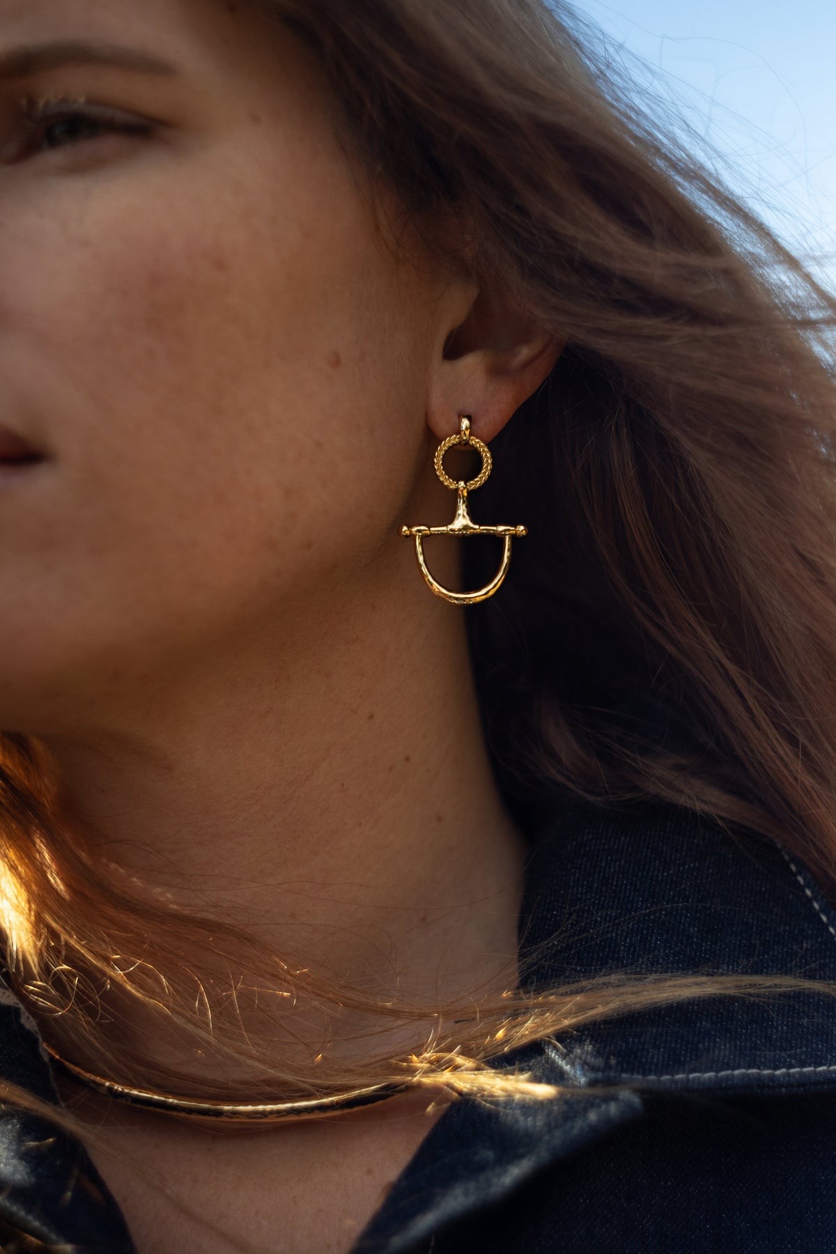 Cheval Bit Drop Earrings, Silver