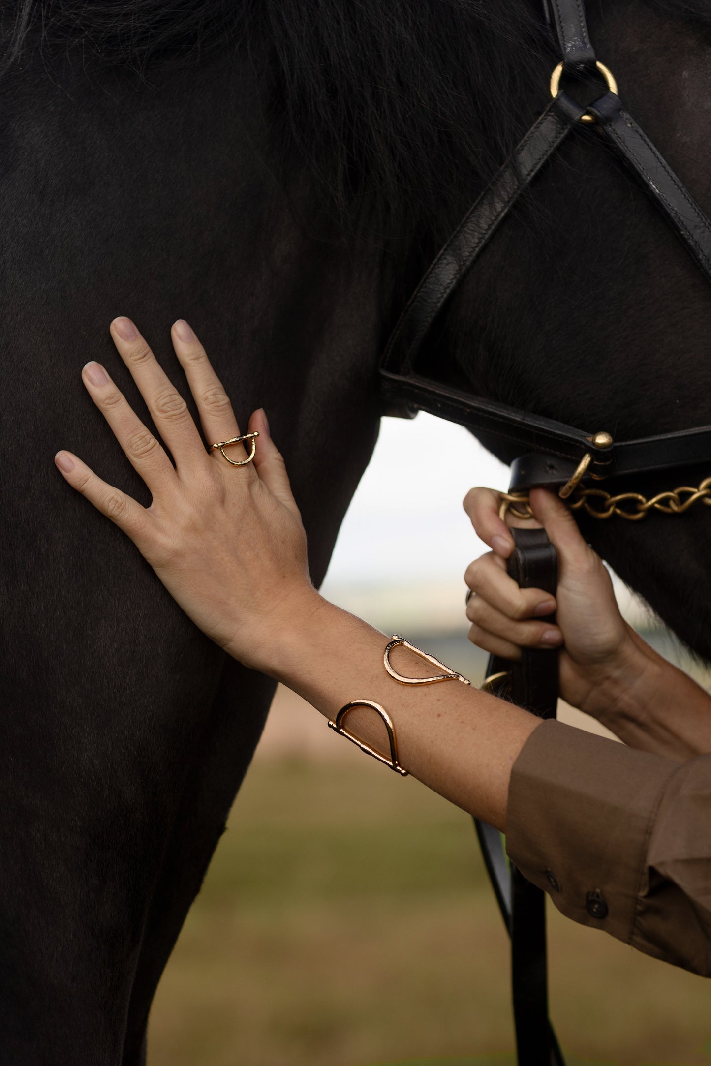 Cheval Bit Ring, Silver