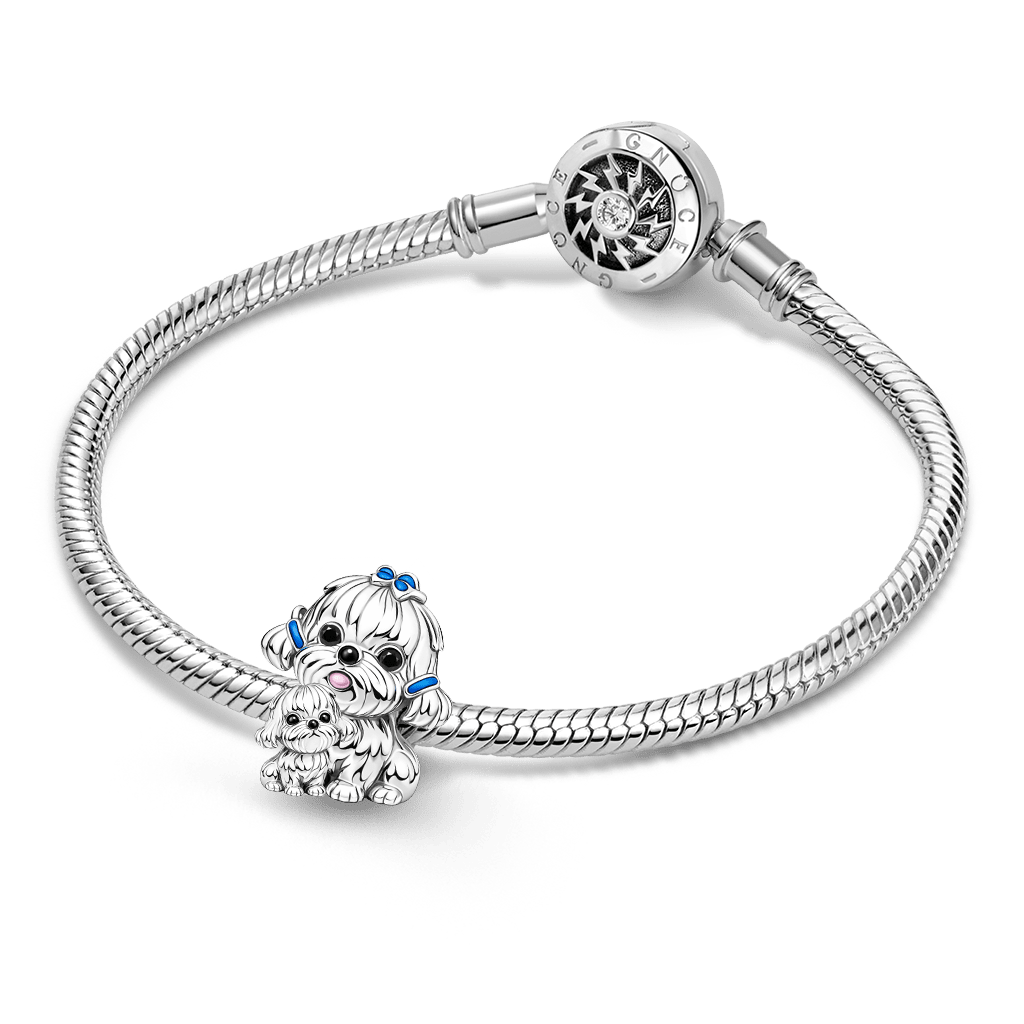 Gnoce Maltese Dog Embraces Baby Charm