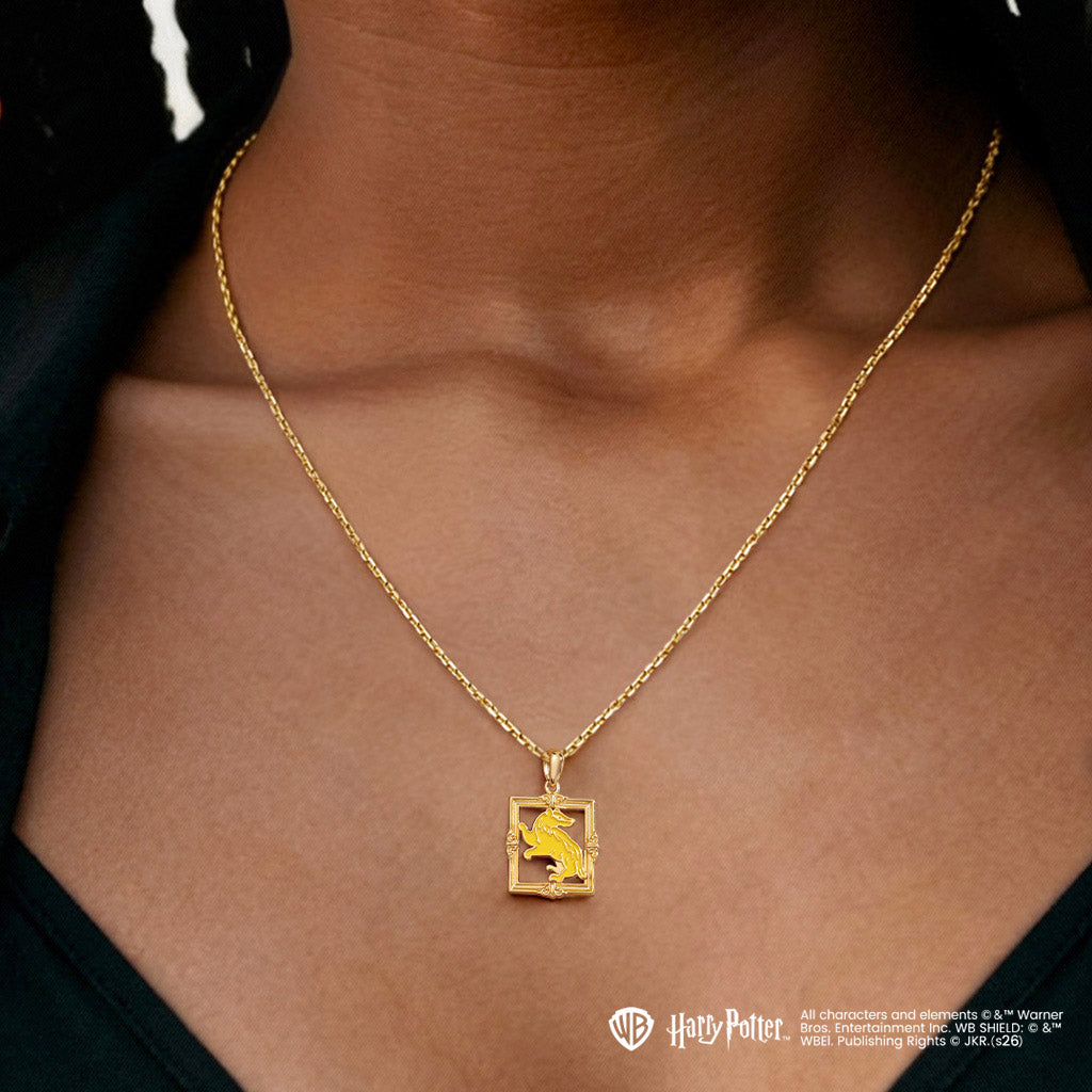 Gnoce  Harry Potter Hufflepuff Badger Necklace