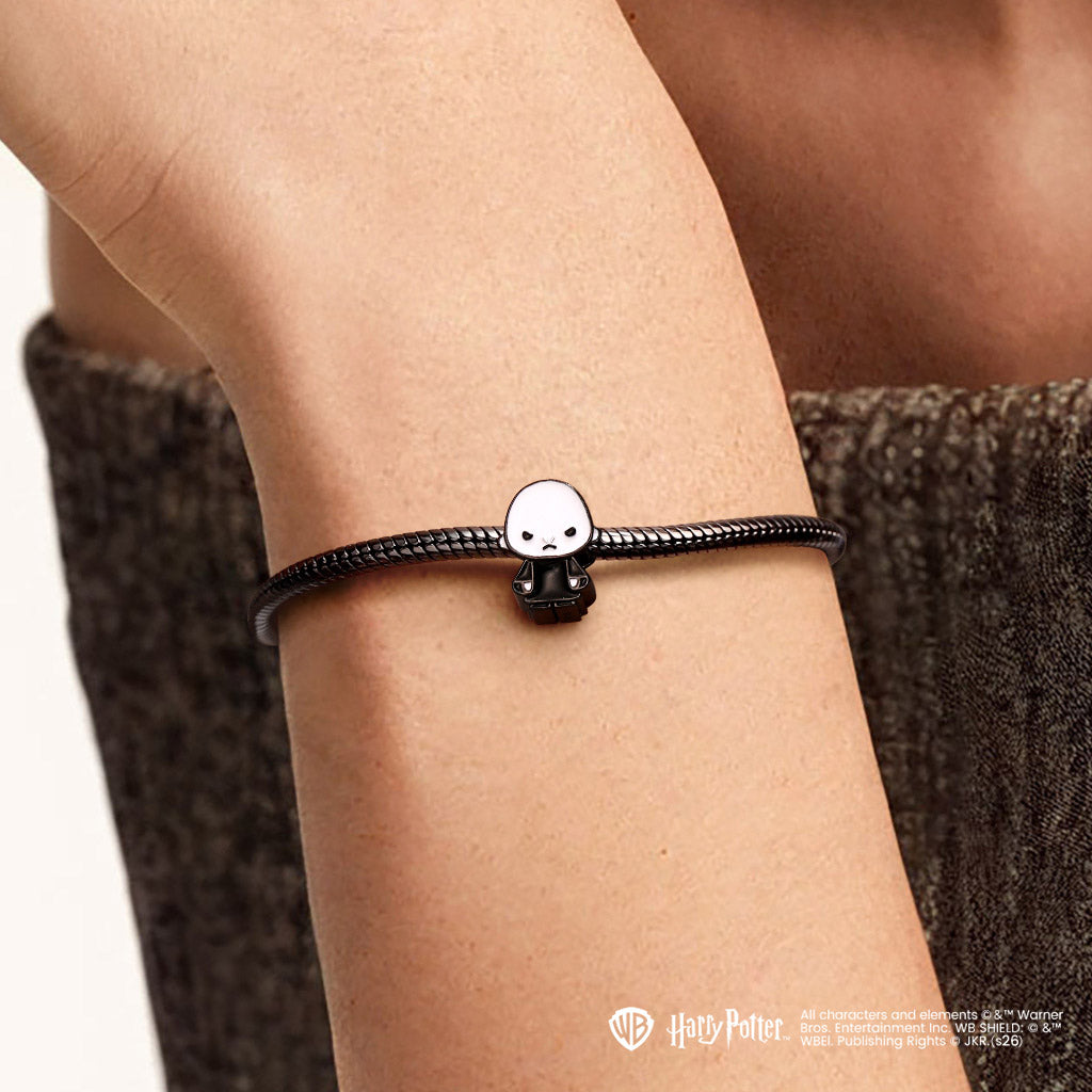 Gnoce  Harry Potter Lord Voldemort Charm
