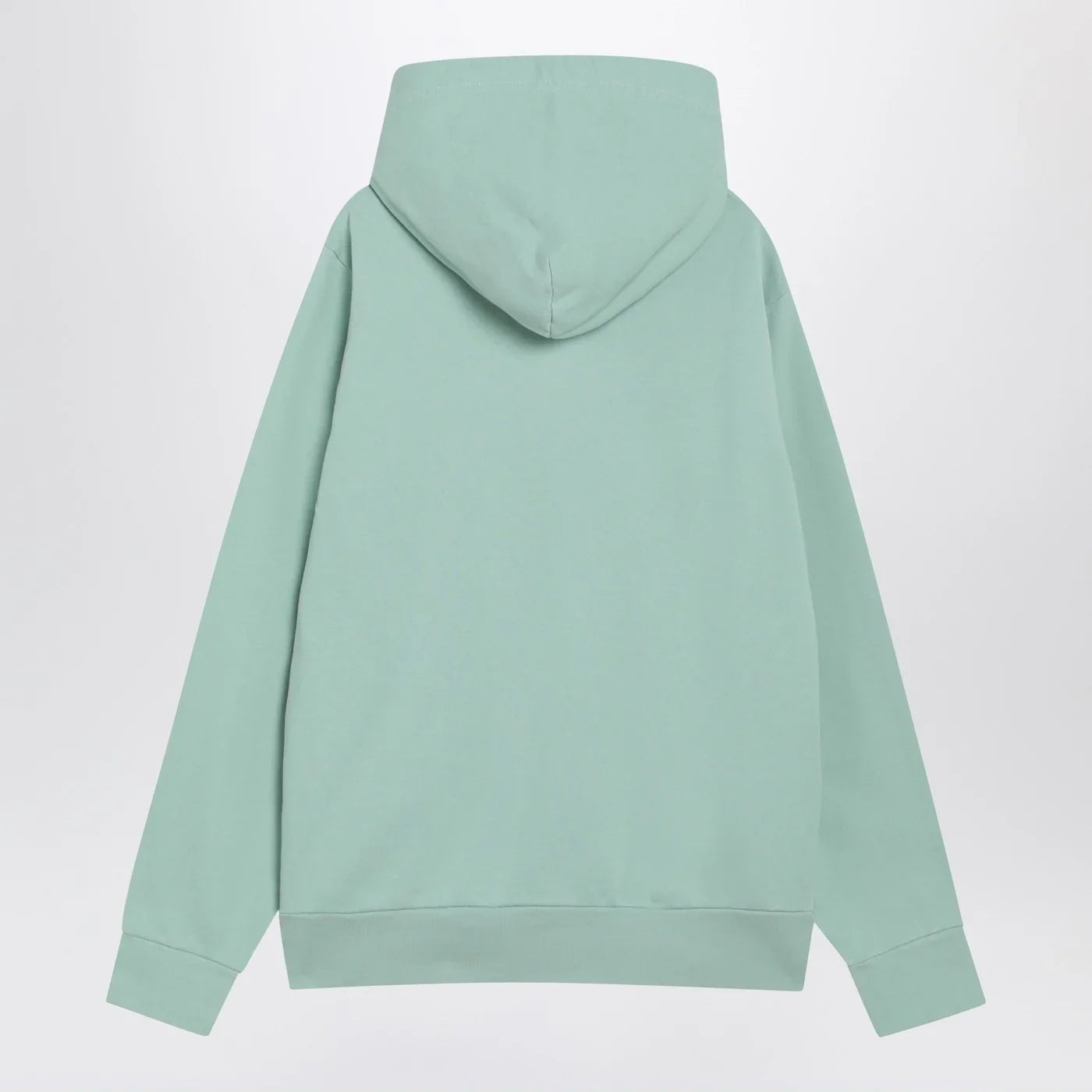 Polo Ralph Lauren - Aquamarine cotton hoodie