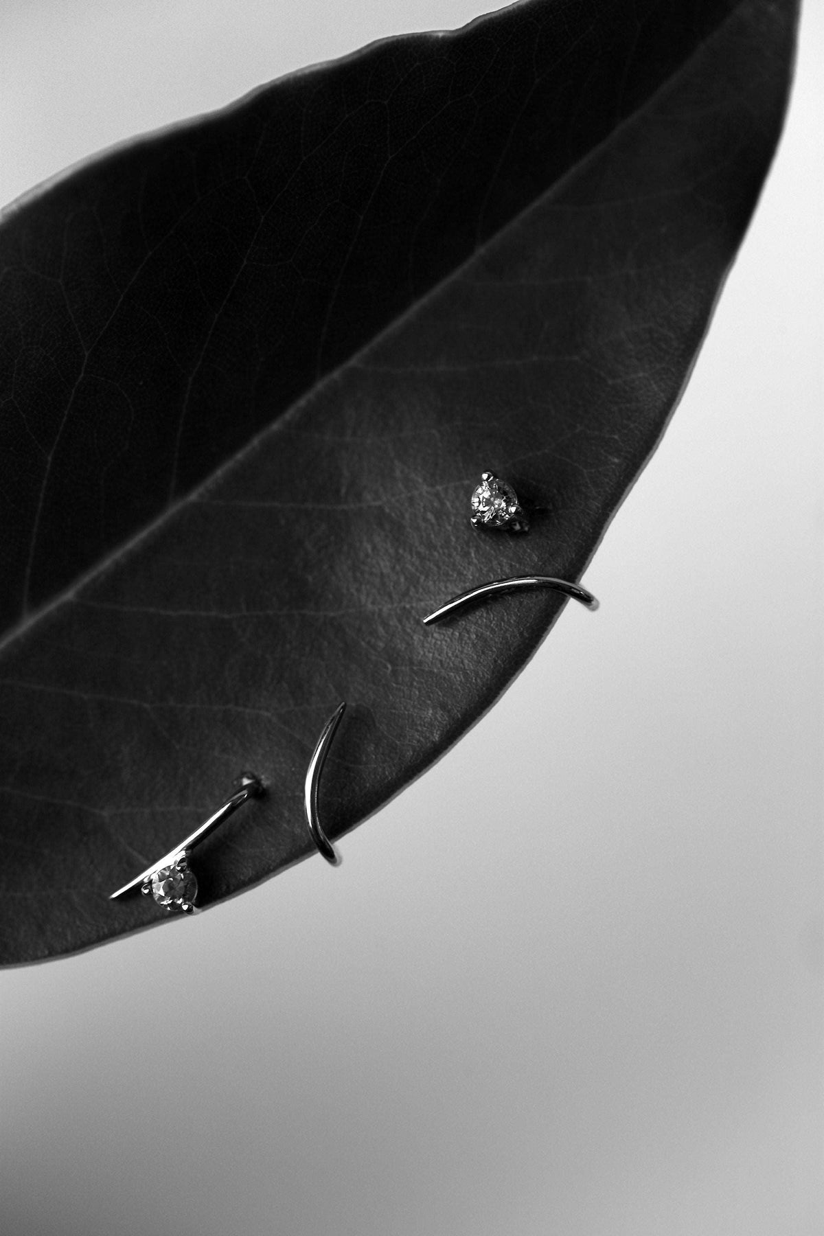 VINE LONG HUG SAPPHIRE EARRING