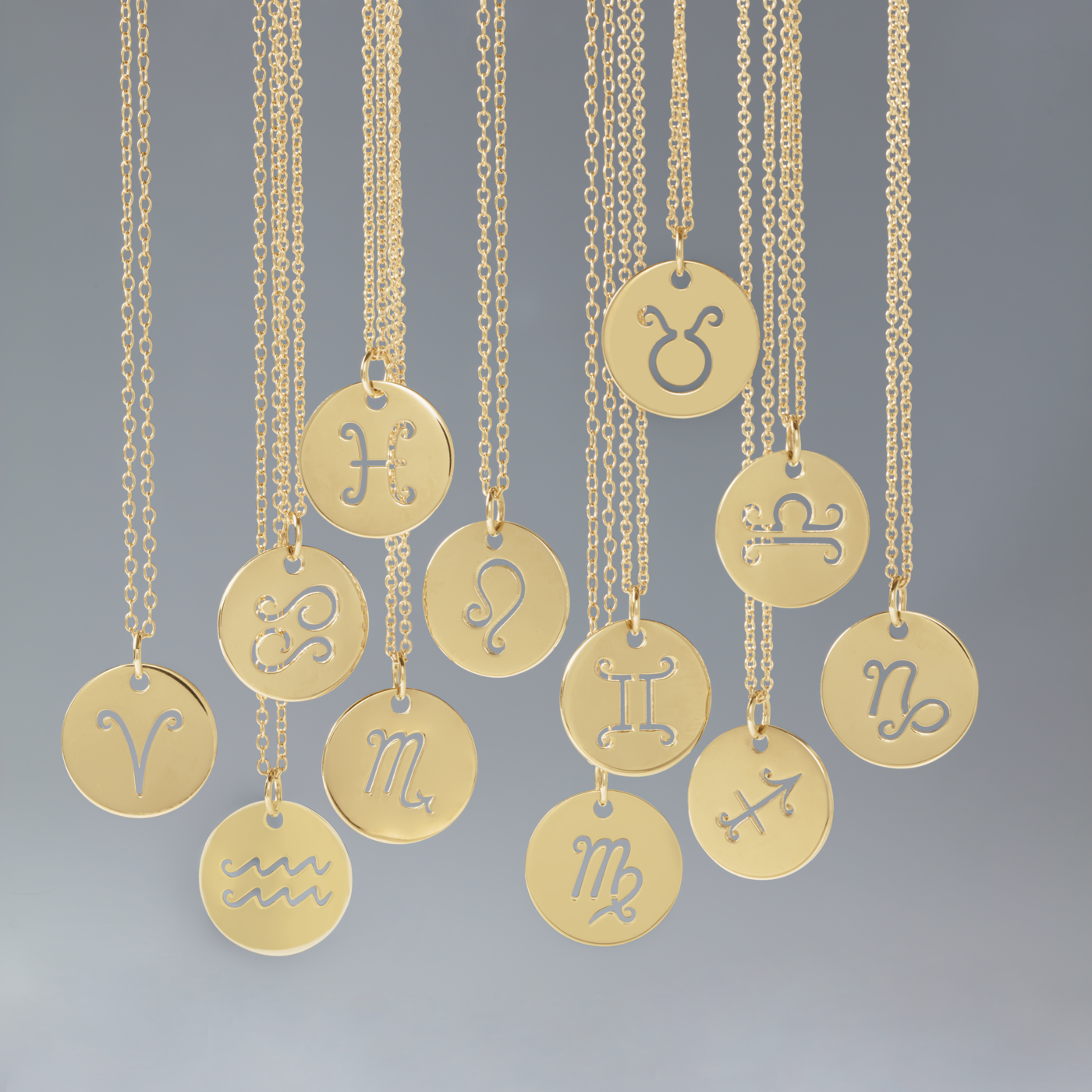 The Zodiac Necklace | Virgo | 14K Gold