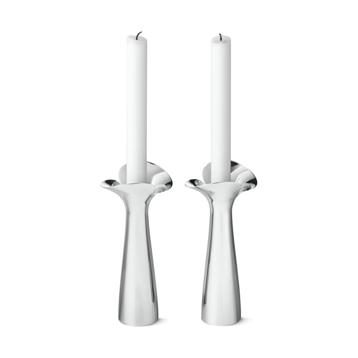 Bloom Botanica Candleholders, Set of 2