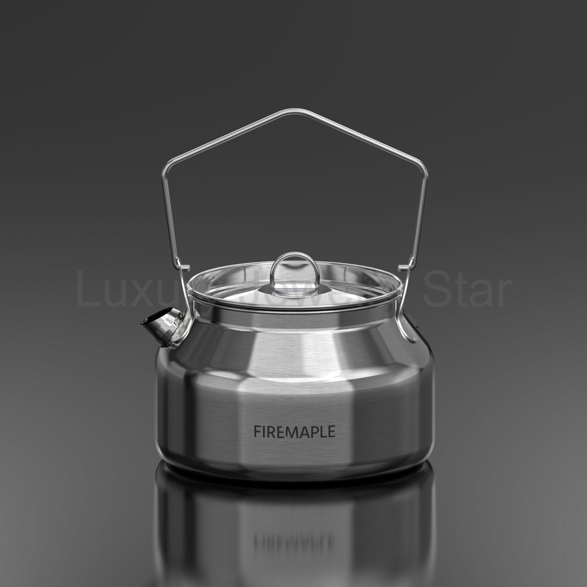 Antarcti 1.2L Stainless Steel Kettle