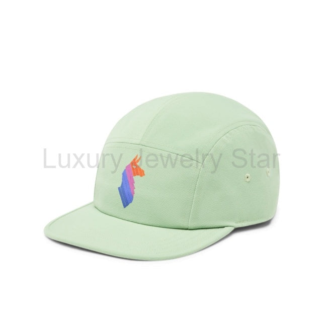 Llama Stripes 5 Panel Hat - image 2