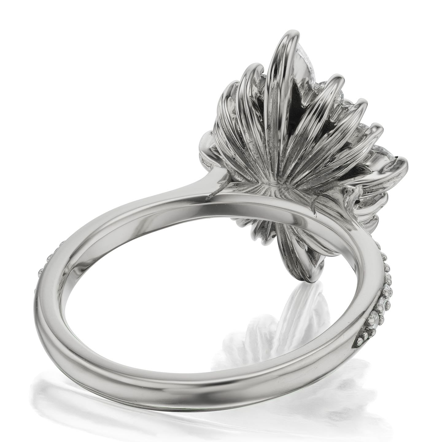 ・ANIKA・Oval Lab-Grown Diamond Center, Diamond Halo (1.55ctw+)