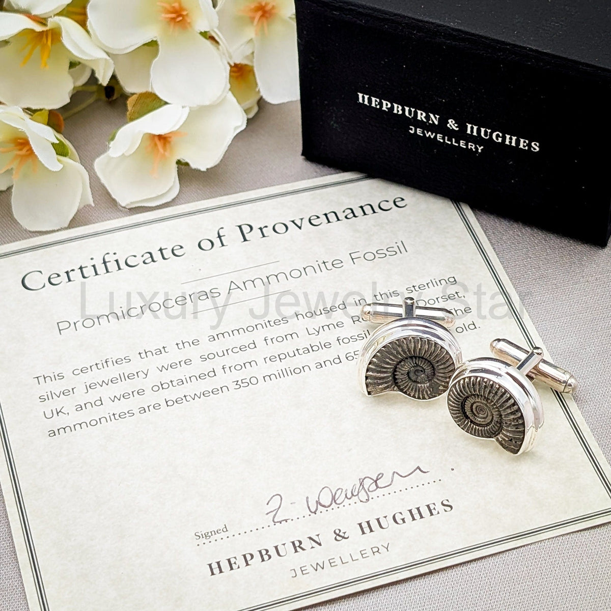 Promicroceras Ammonite Cufflinks | 20mm British Fossils | Sterling Silver - image 3