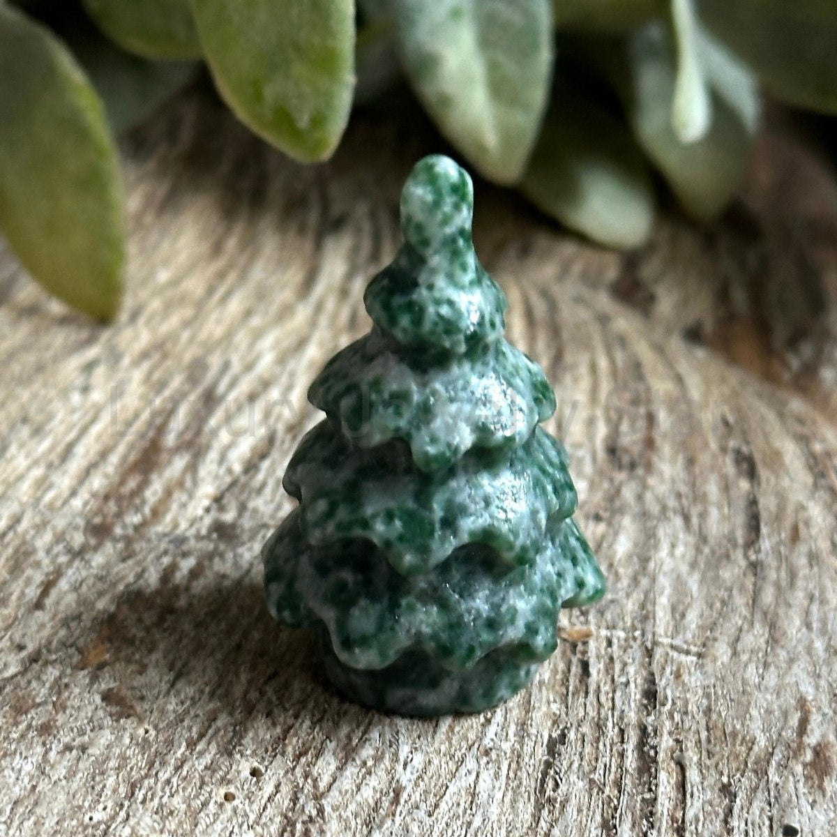 Tree Agate - image 2