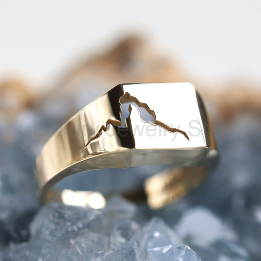Orson cracked signet ring - Ready to Ship-new