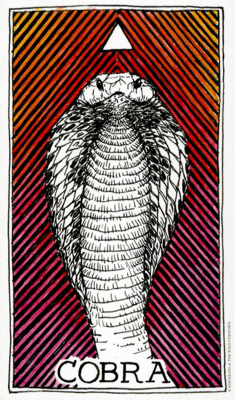 WILD UNKNOWN ANIMAL SPIRIT DECK | FULL SIZE