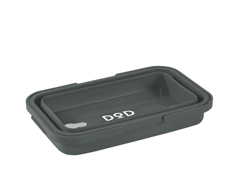 Pesha Collapsible Container