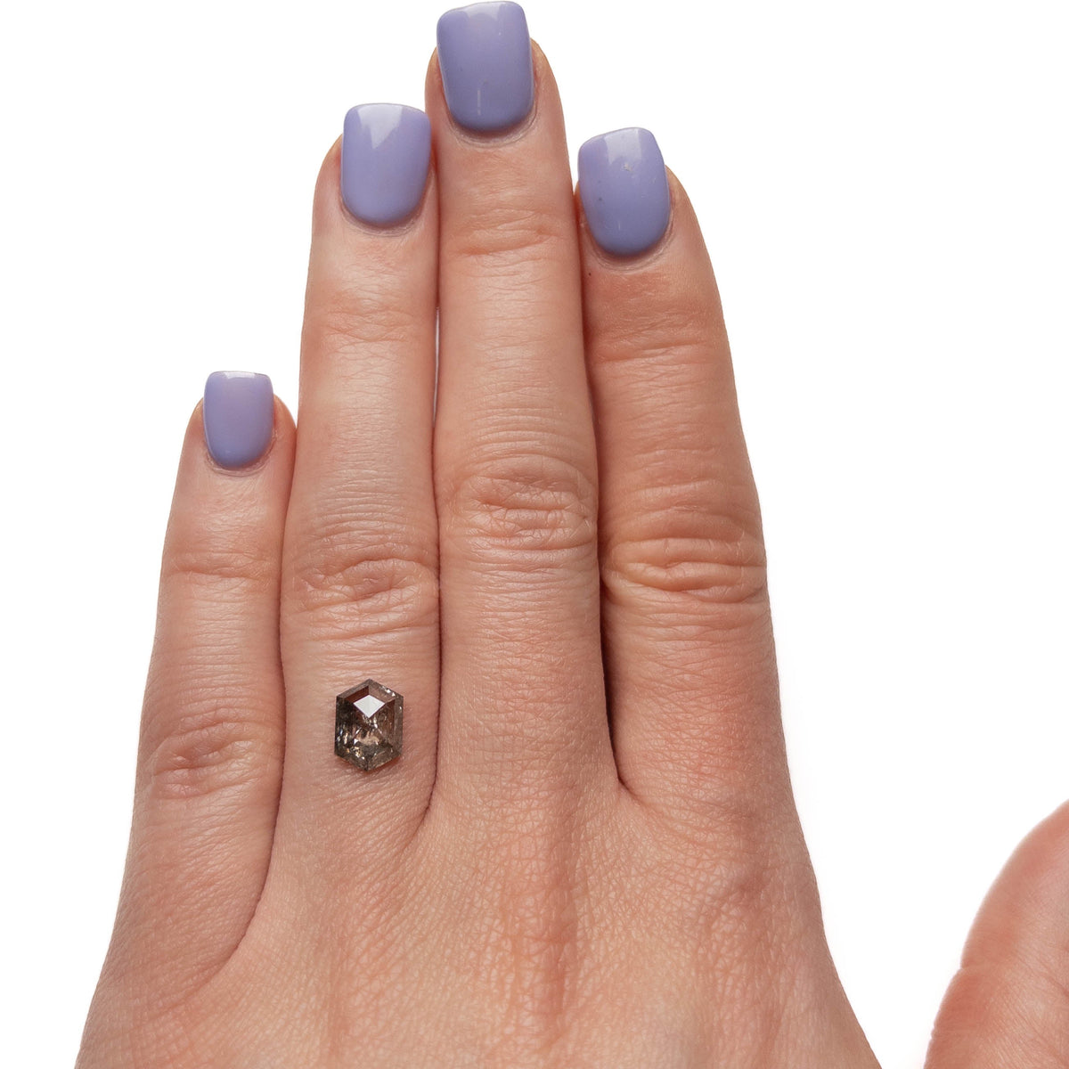 1.65 Carat Salt and Pepper Rose Cut Hexagon Diamond