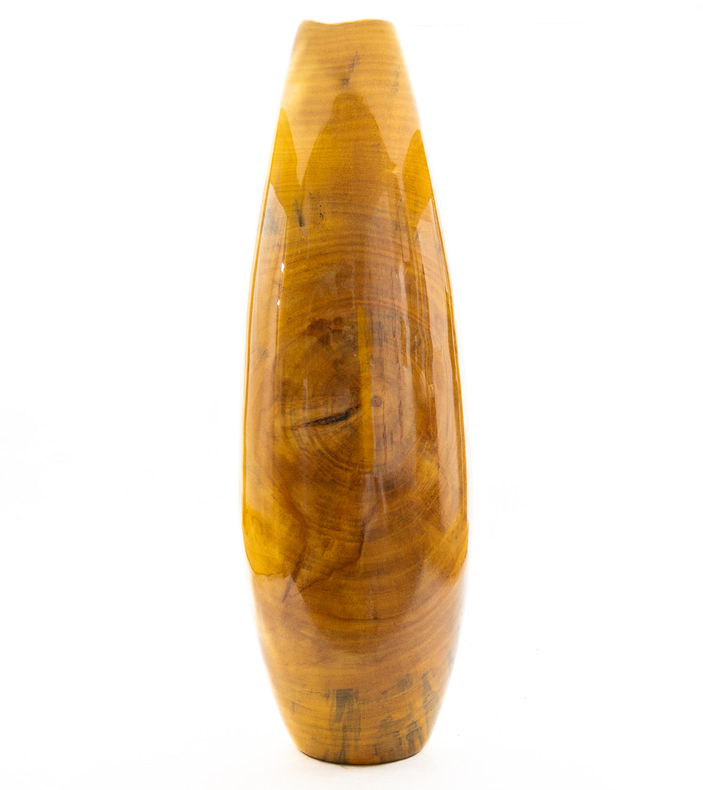 Norfolk Pine Vase #2607 by Dan Stevenson