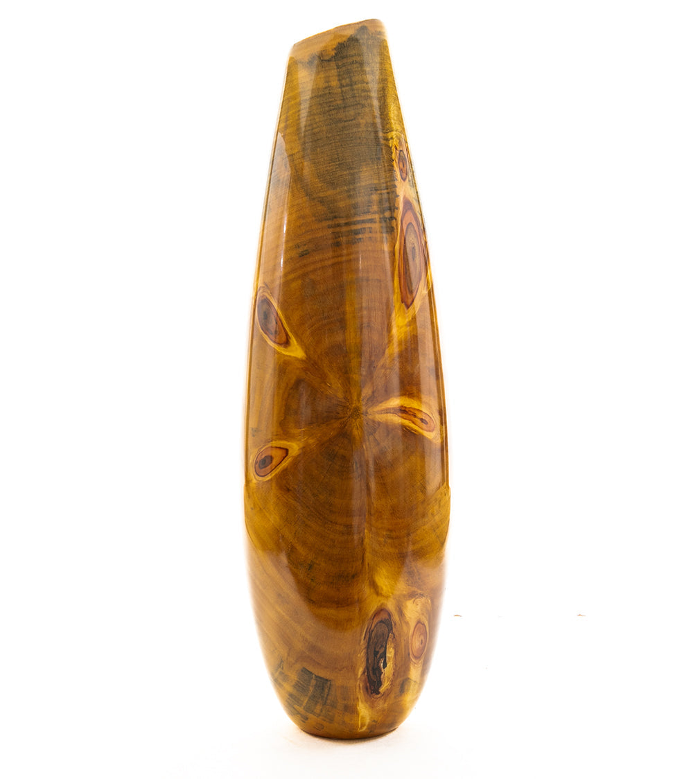 Norfolk Pine Vase #2611 by Dan Stevenson