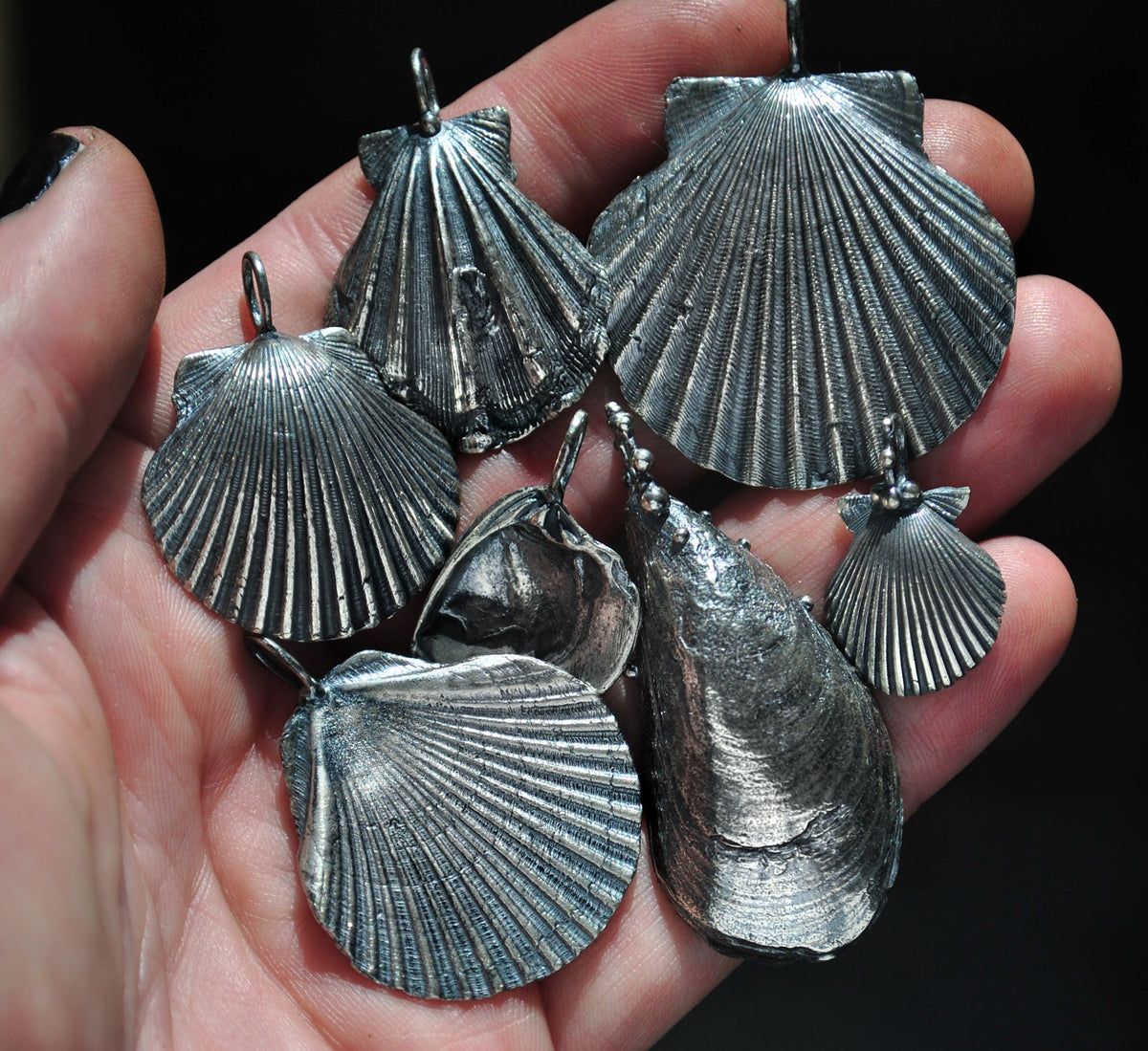 Flat Scallop Shell, chain included