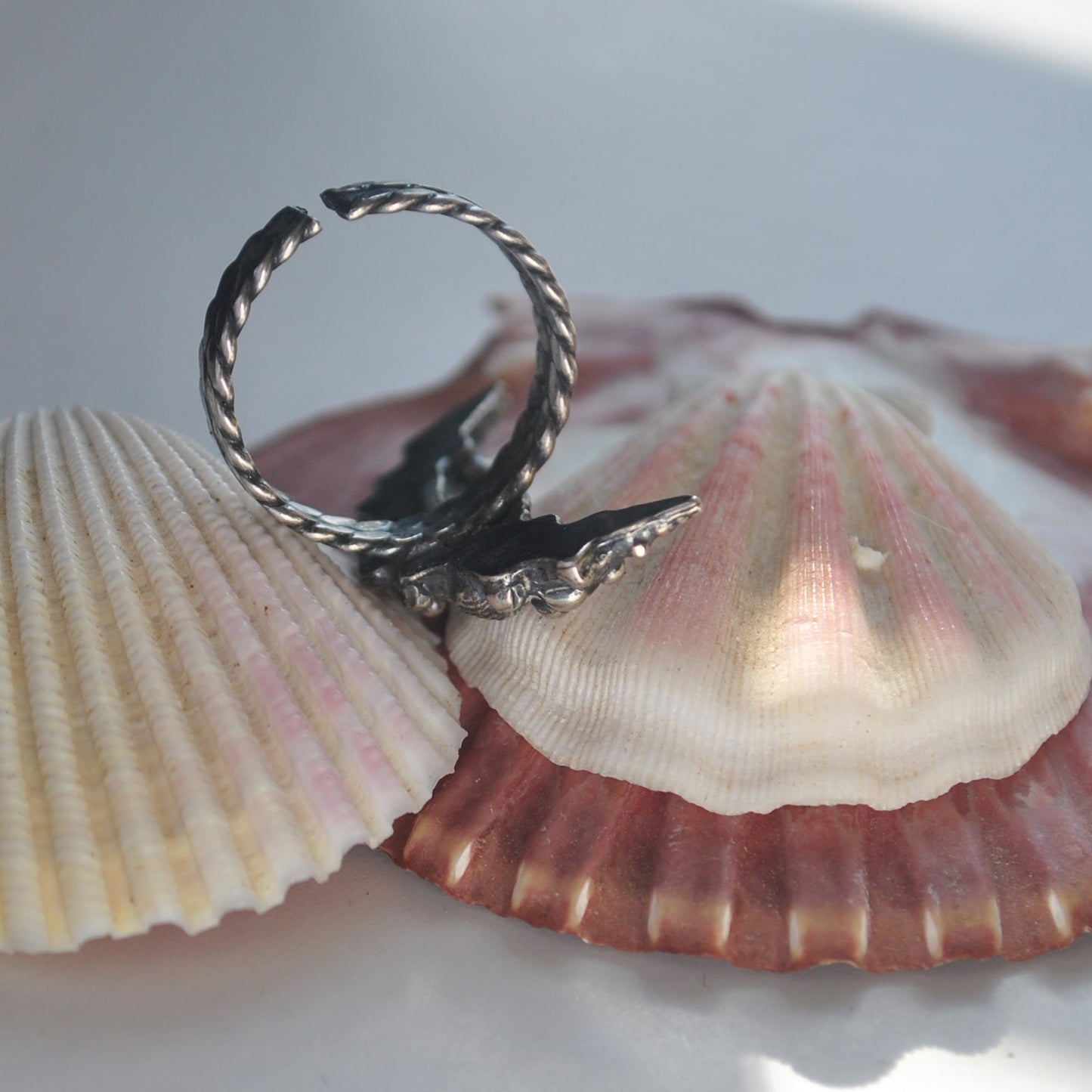 Adjustable! Where the Sky meets the Sea, Ring!