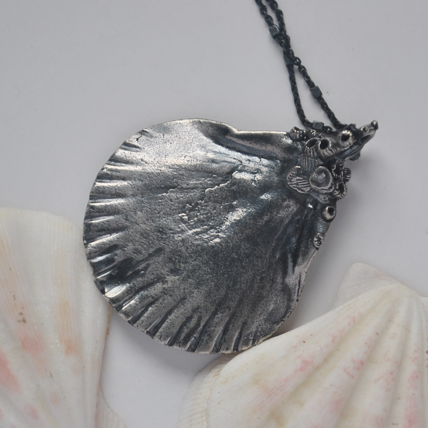 OOAK, Flat Scallop Shell - with Barnacles