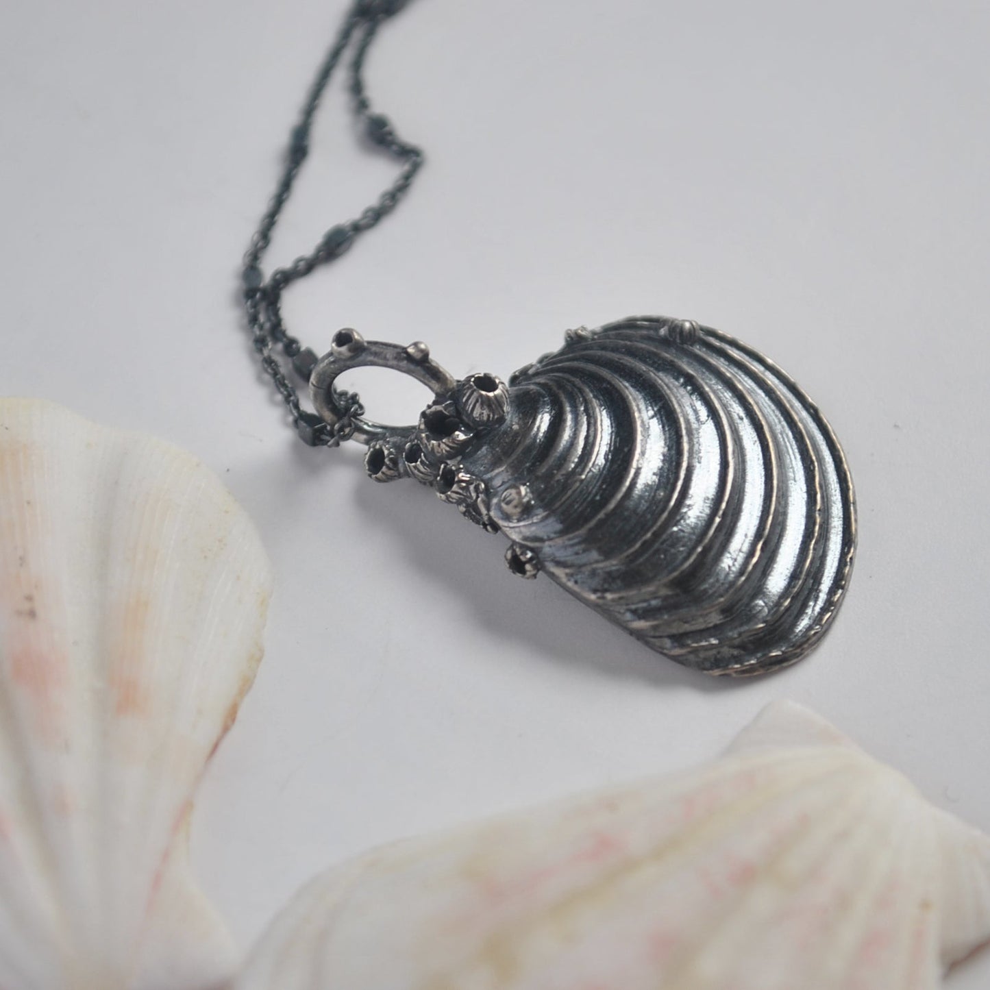 OOAK, Venus Shell - with Barnacles