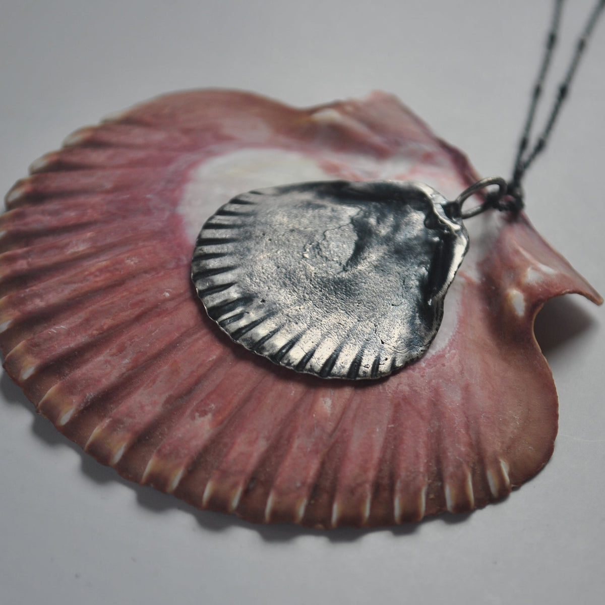 Flat Scallop Shell, chain included