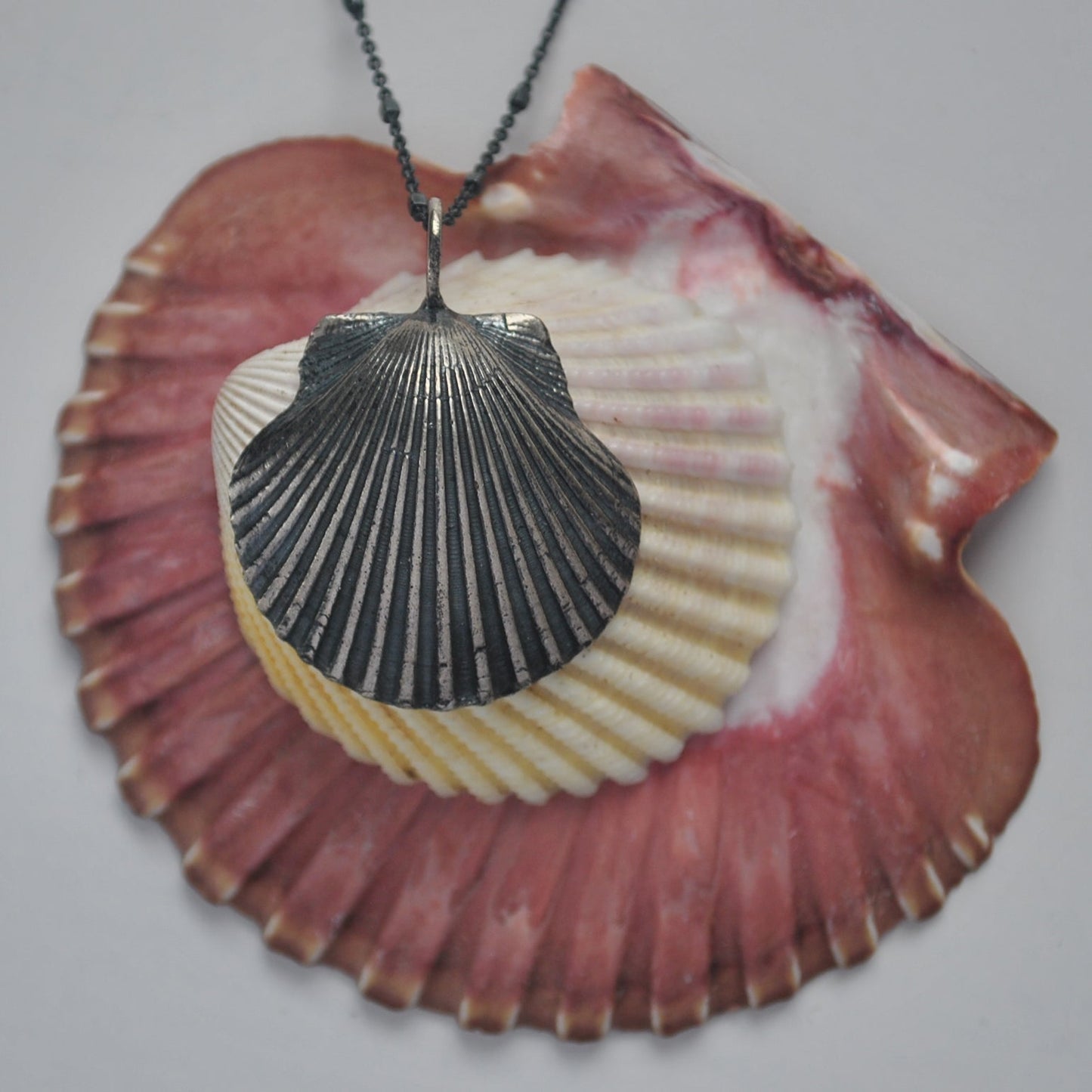 Classic Scallop Shell, chain included