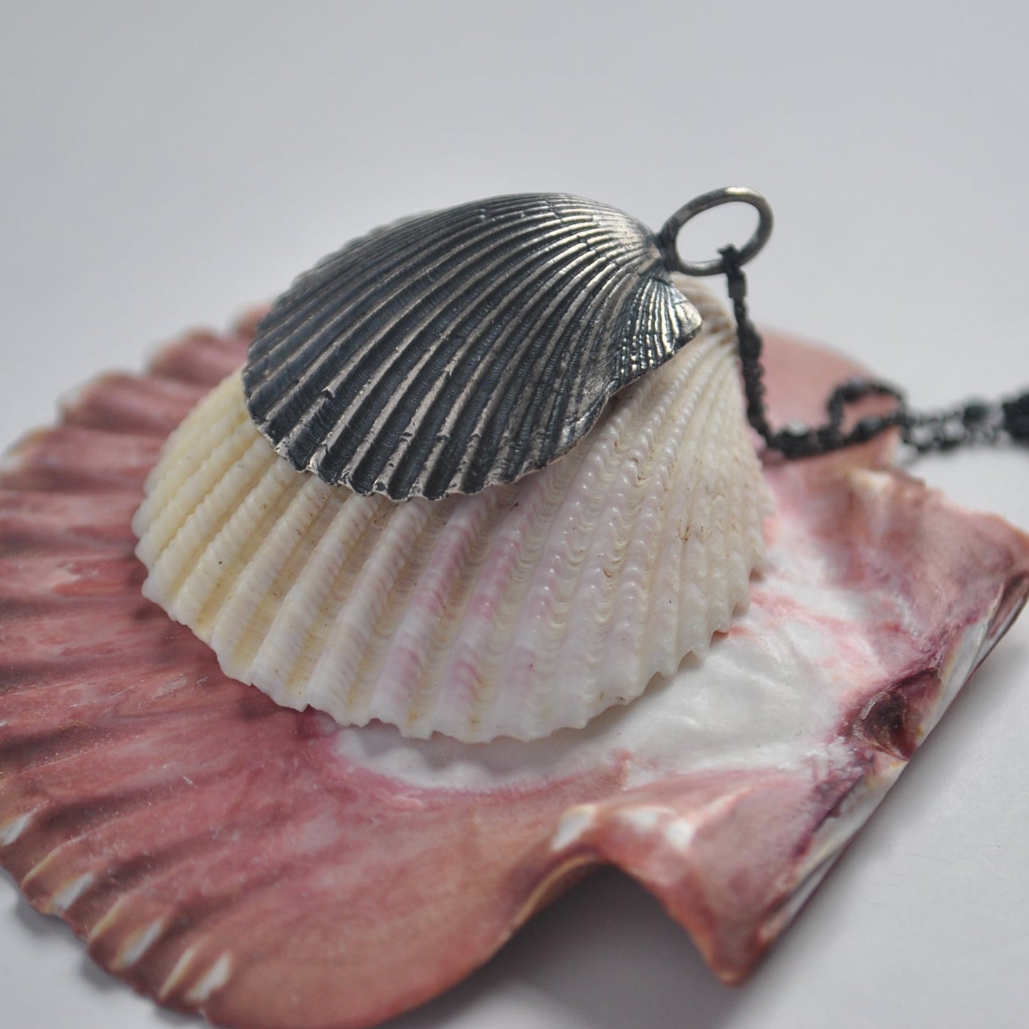 Classic Scallop Shell, chain included