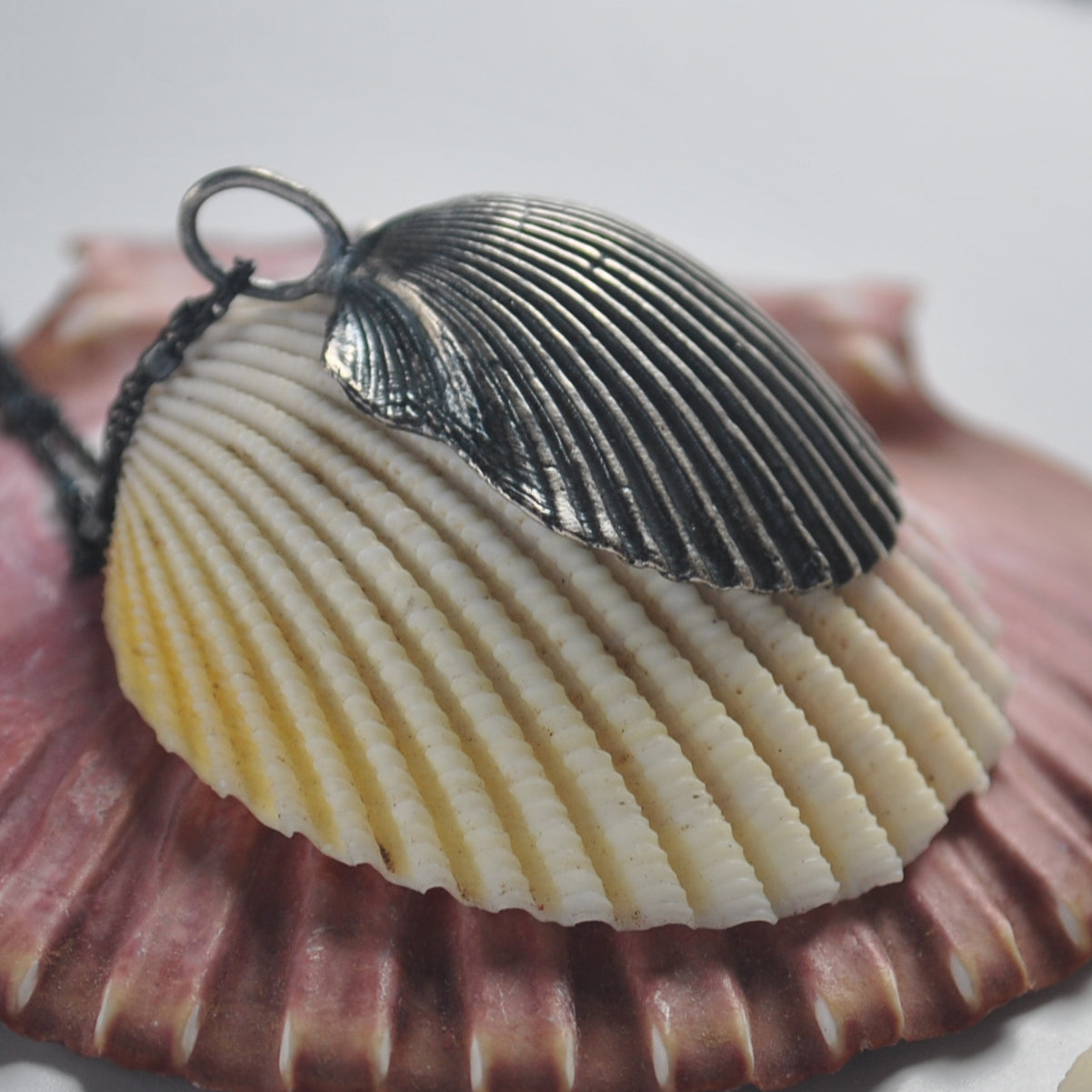 Classic Scallop Shell, chain included