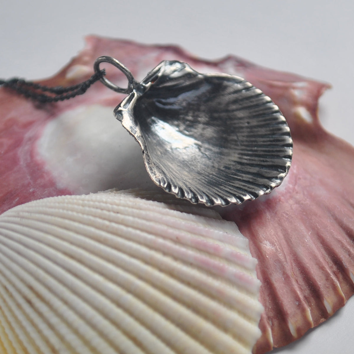 Classic Scallop Shell, chain included