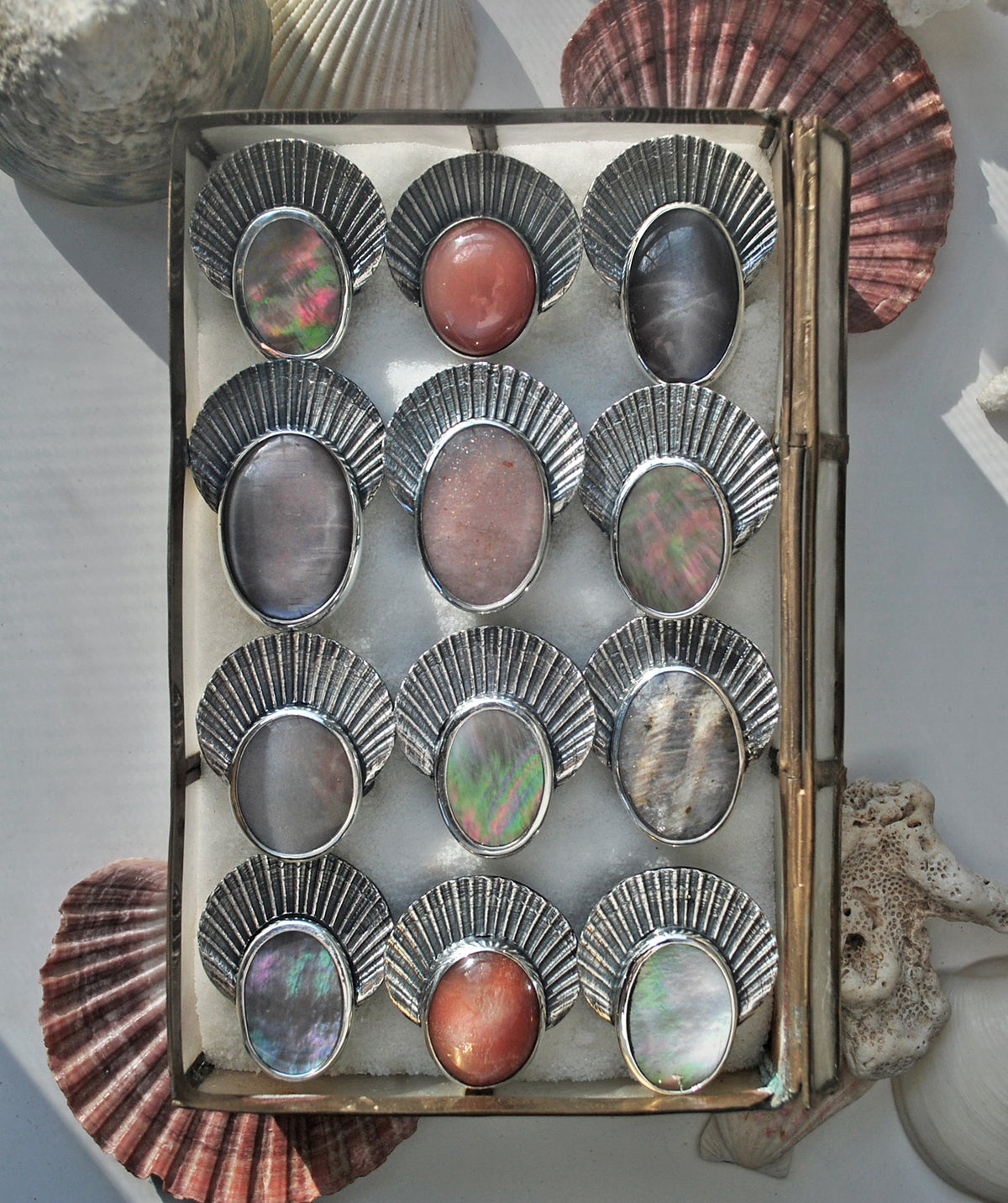 Size 5.5 - Seashell Crown