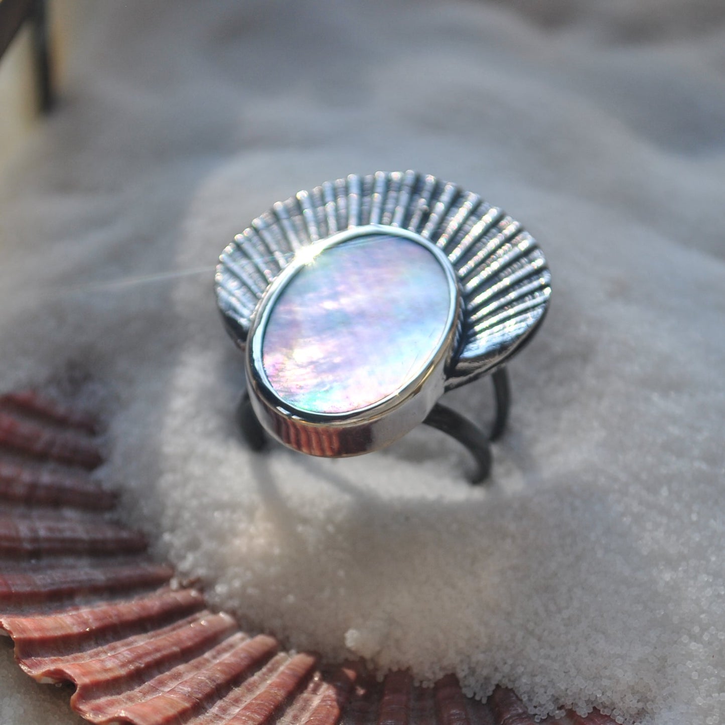 Size 12.75 - Crown of Shells - Rainbow Abalone