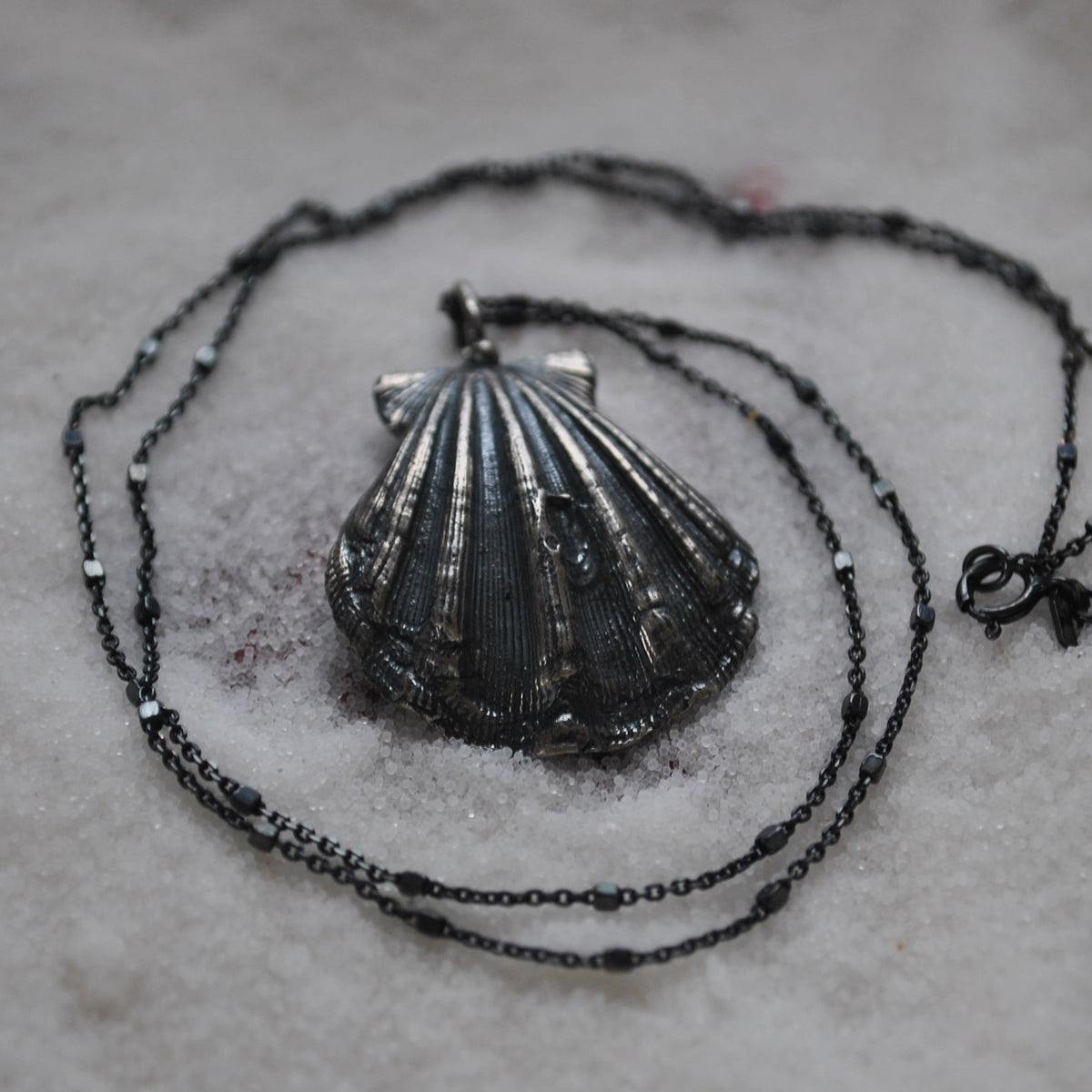 Scallop Shell, chain included