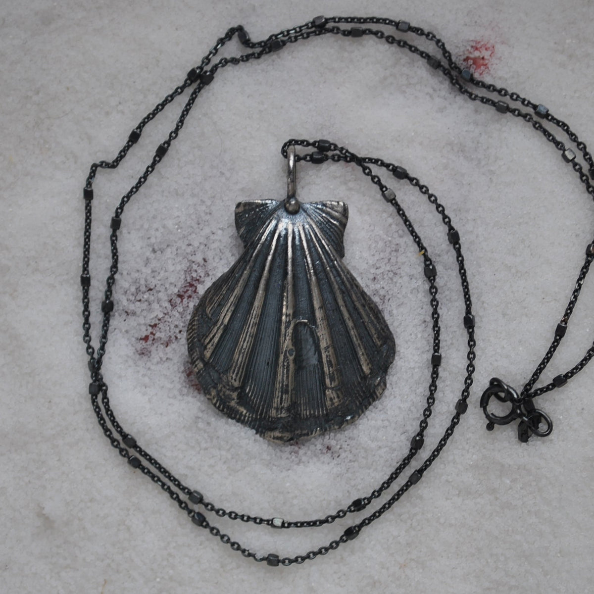 Scallop Shell, chain included