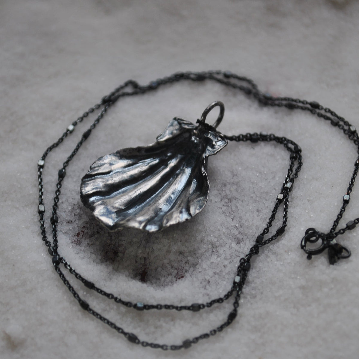 Scallop Shell, chain included
