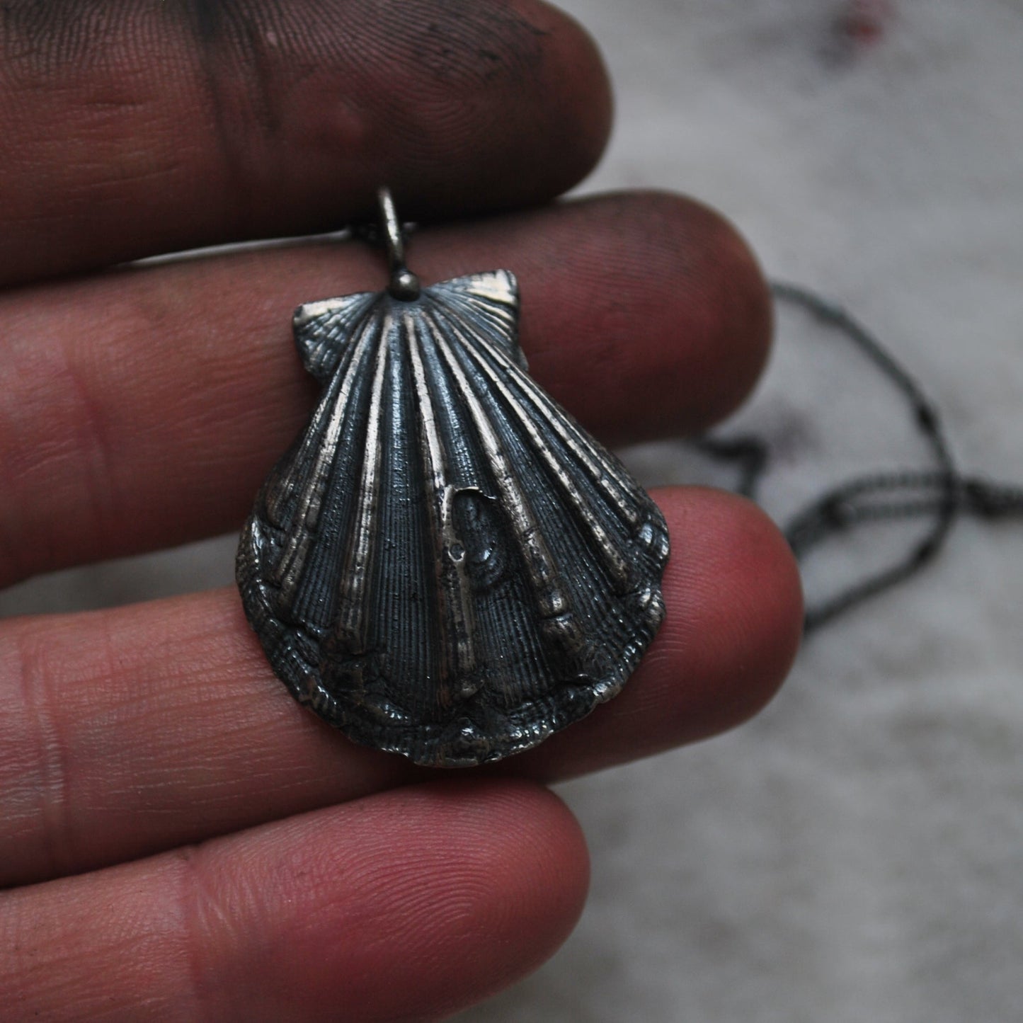 Scallop Shell, chain included