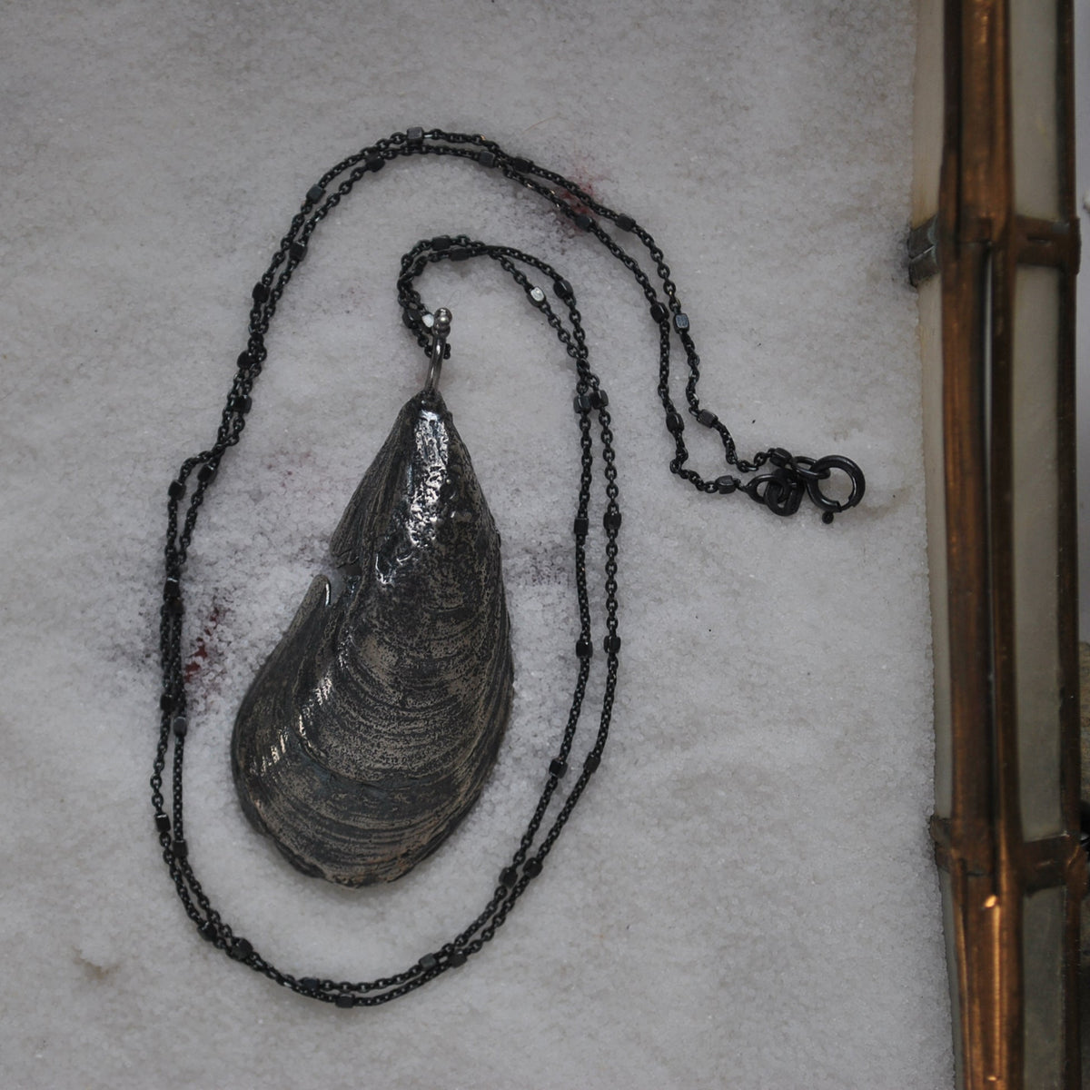MA Mussel Shell - BLEMISHED