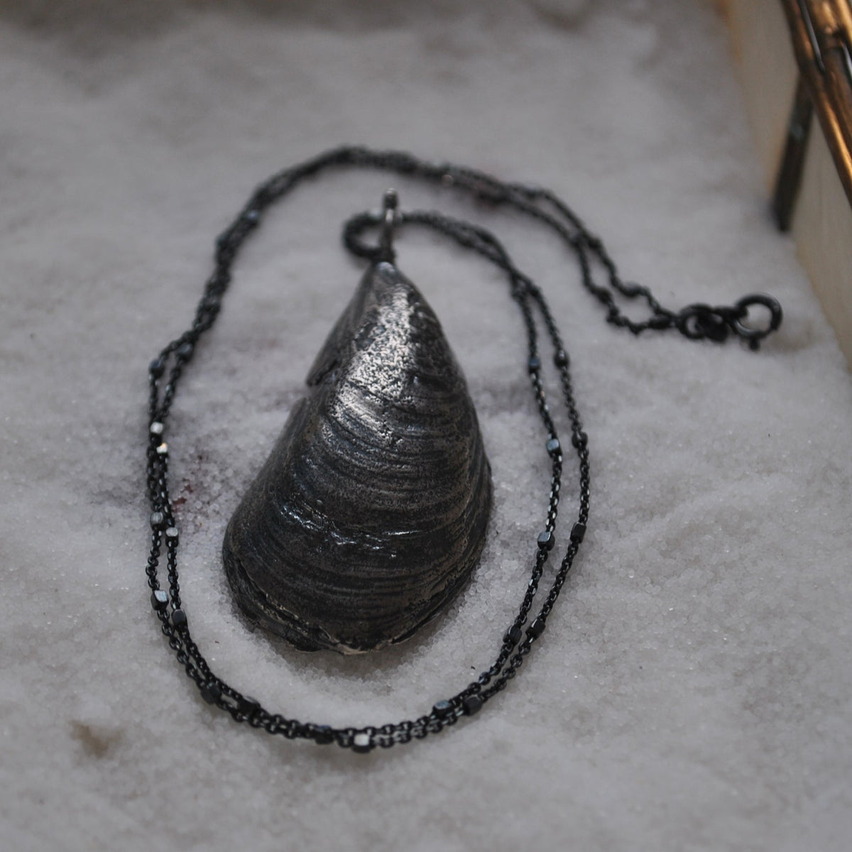 MA Mussel Shell - BLEMISHED