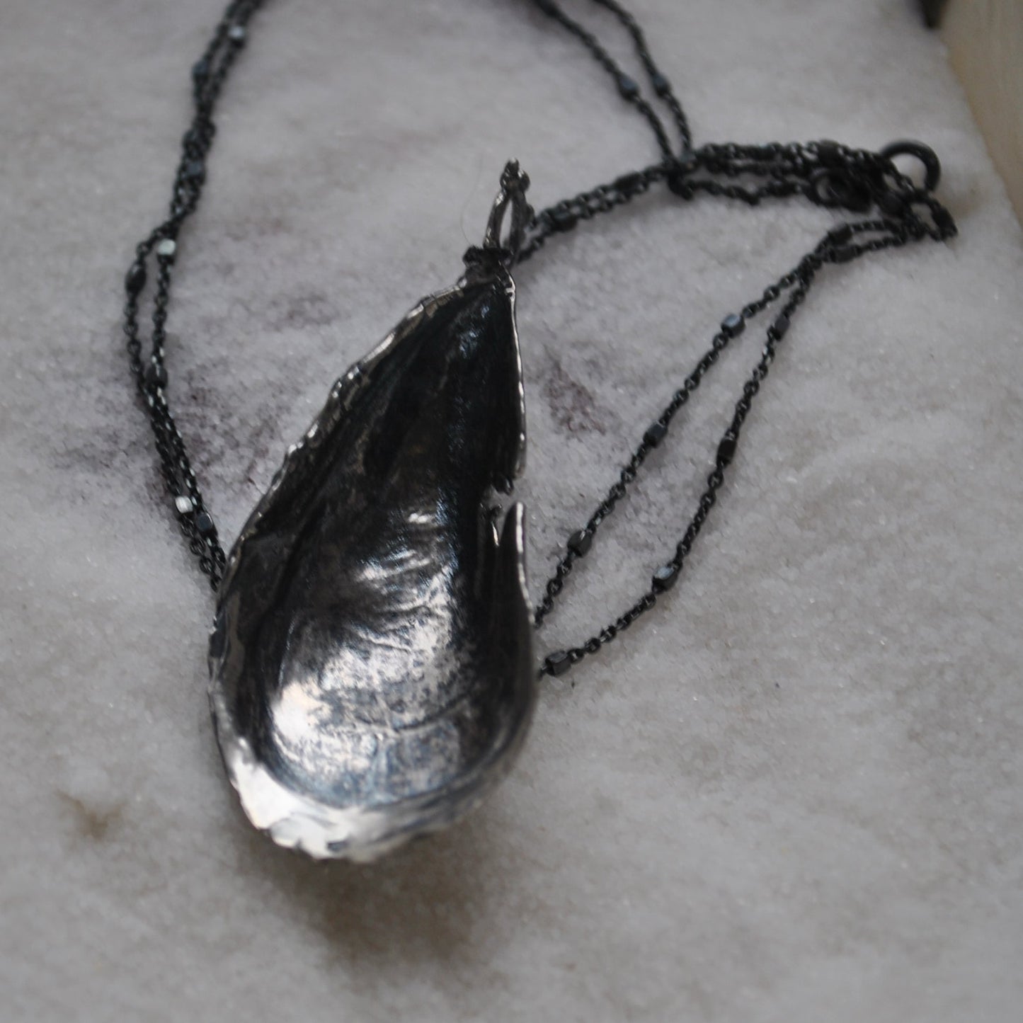 MA Mussel Shell - BLEMISHED