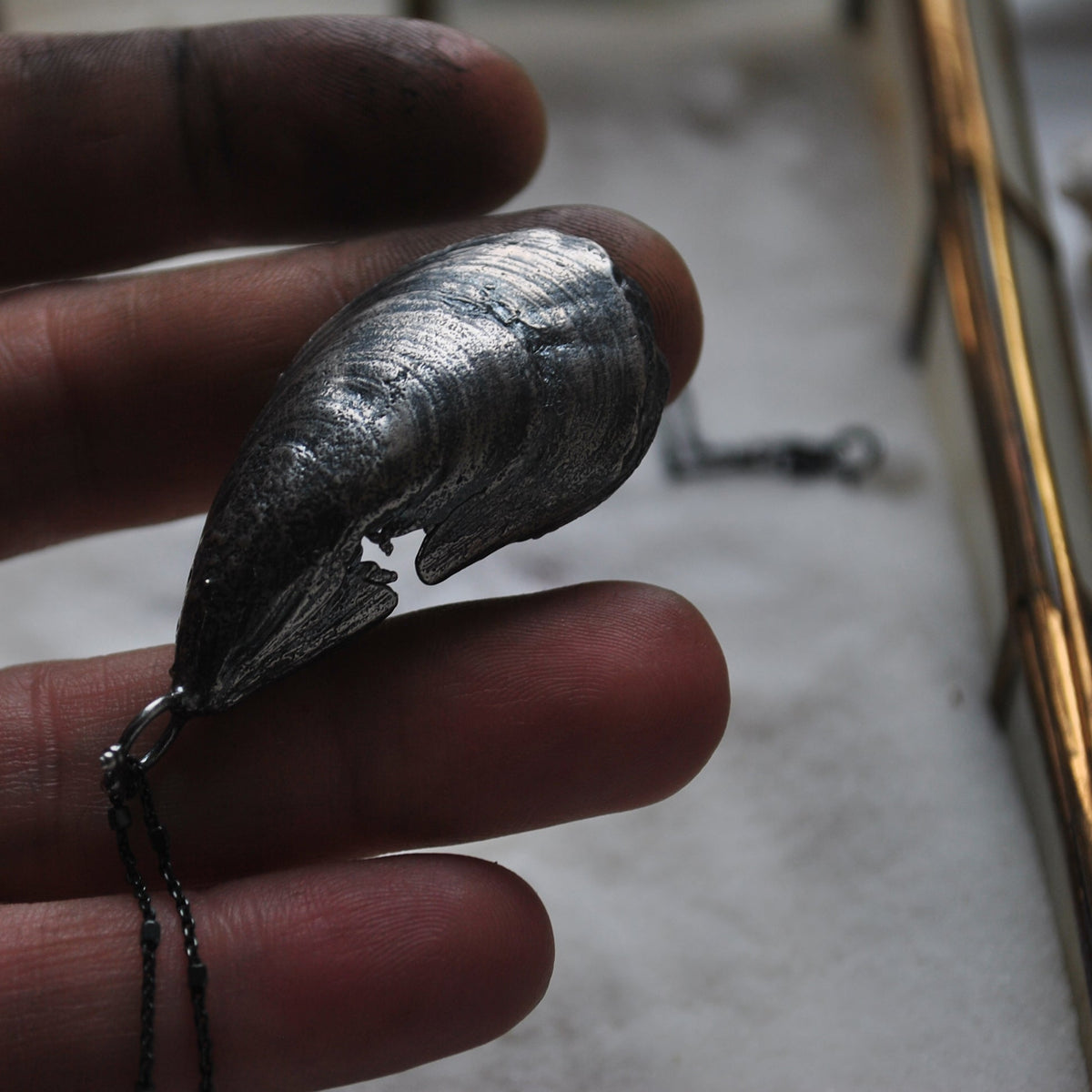 MA Mussel Shell - BLEMISHED