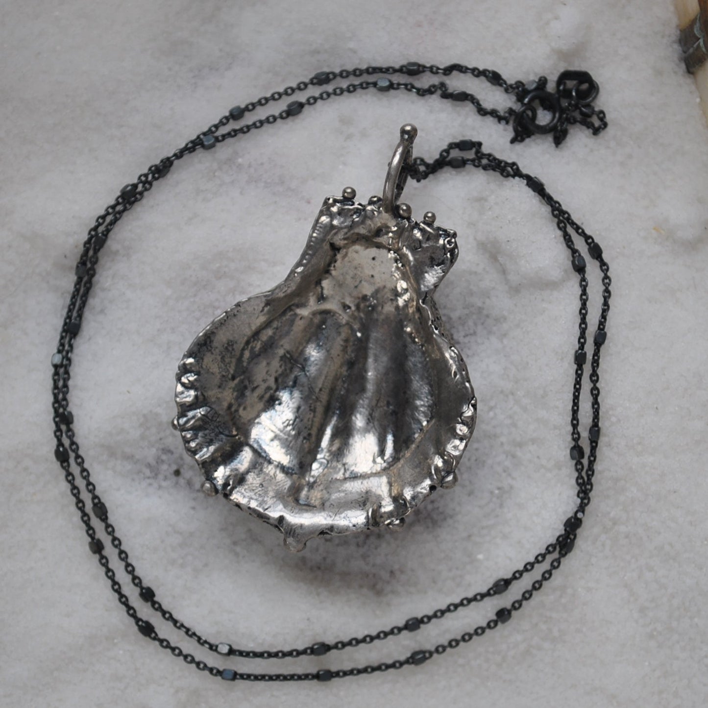 Lion's Paw Shell, chain included