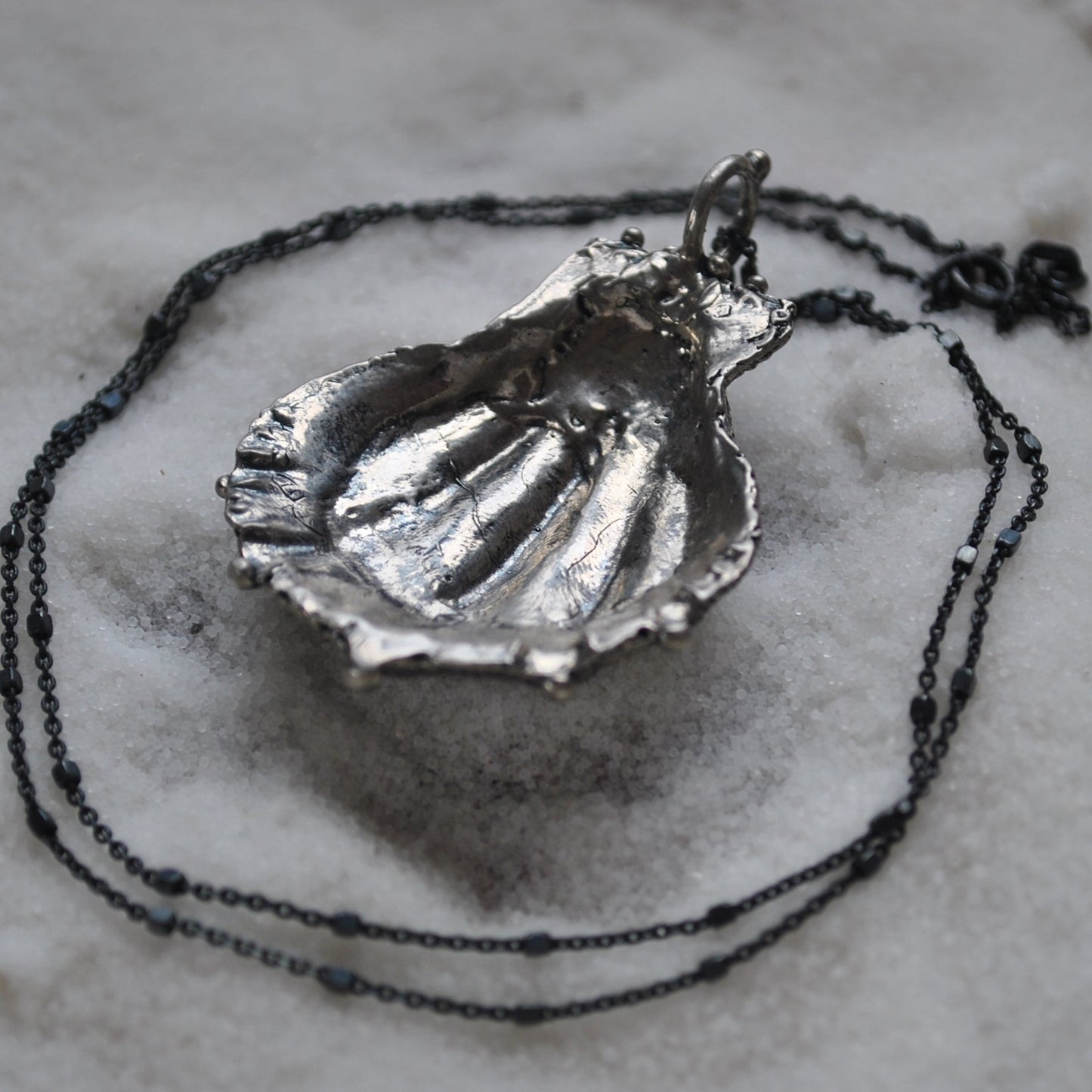 Lion's Paw Shell, chain included