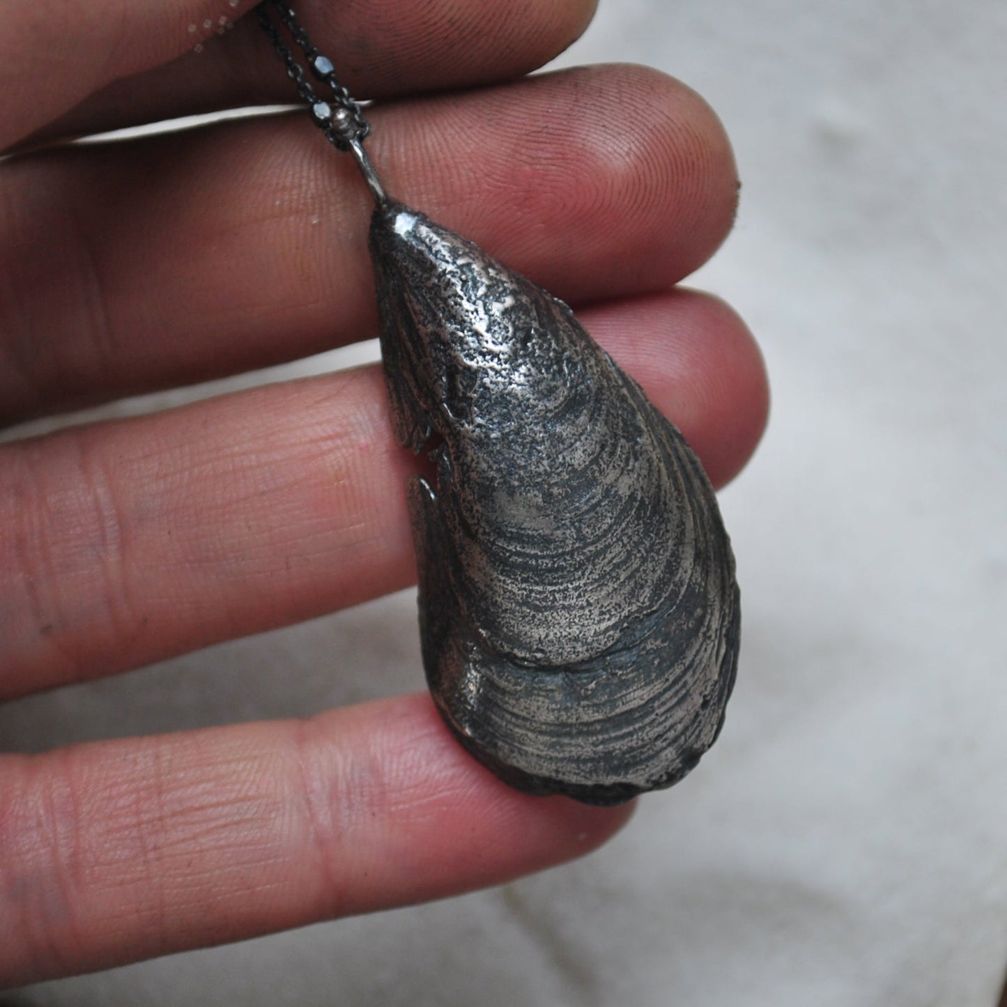 MA Mussel Shell - BLEMISHED