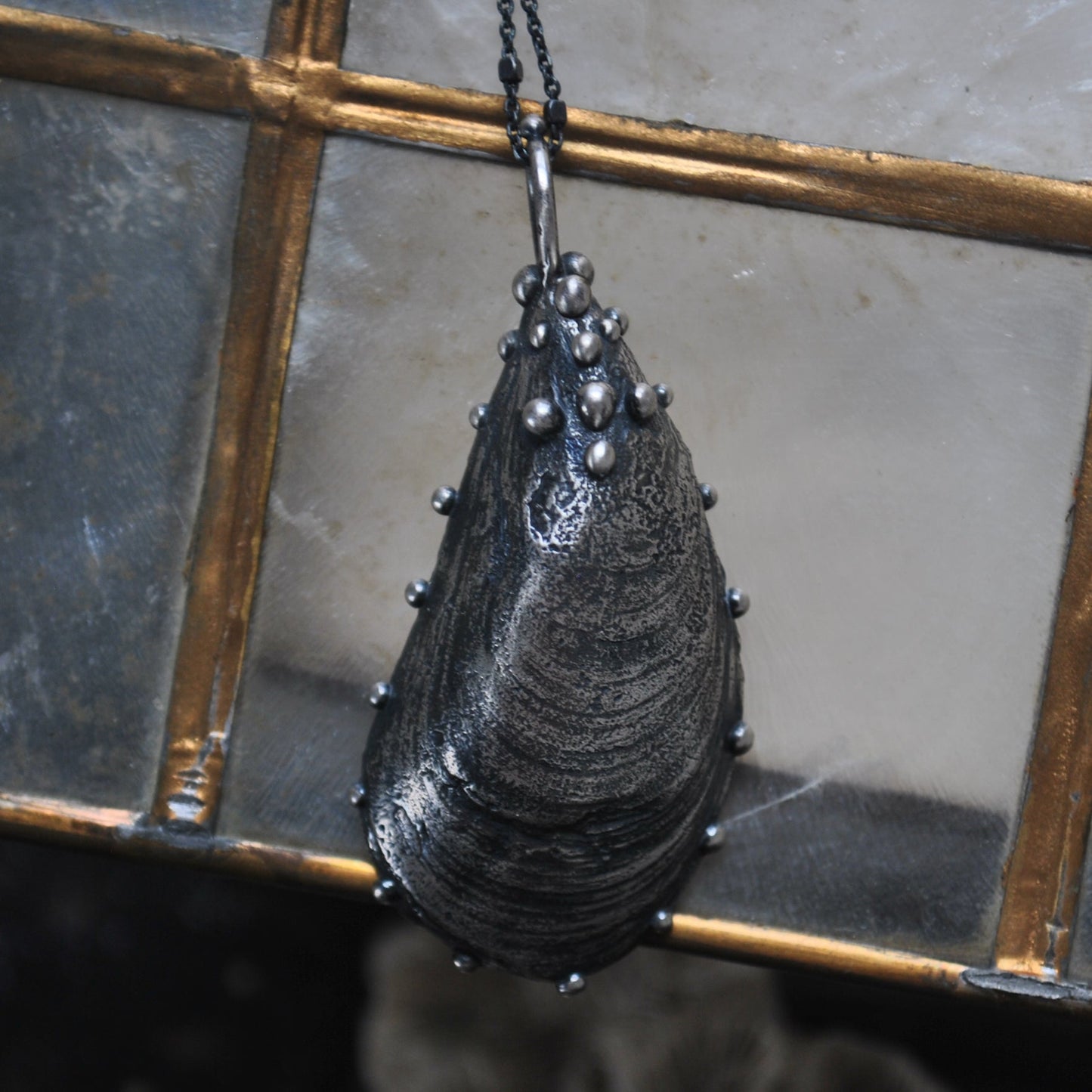 MA Mussel Shell - holding the moon, and a golden star